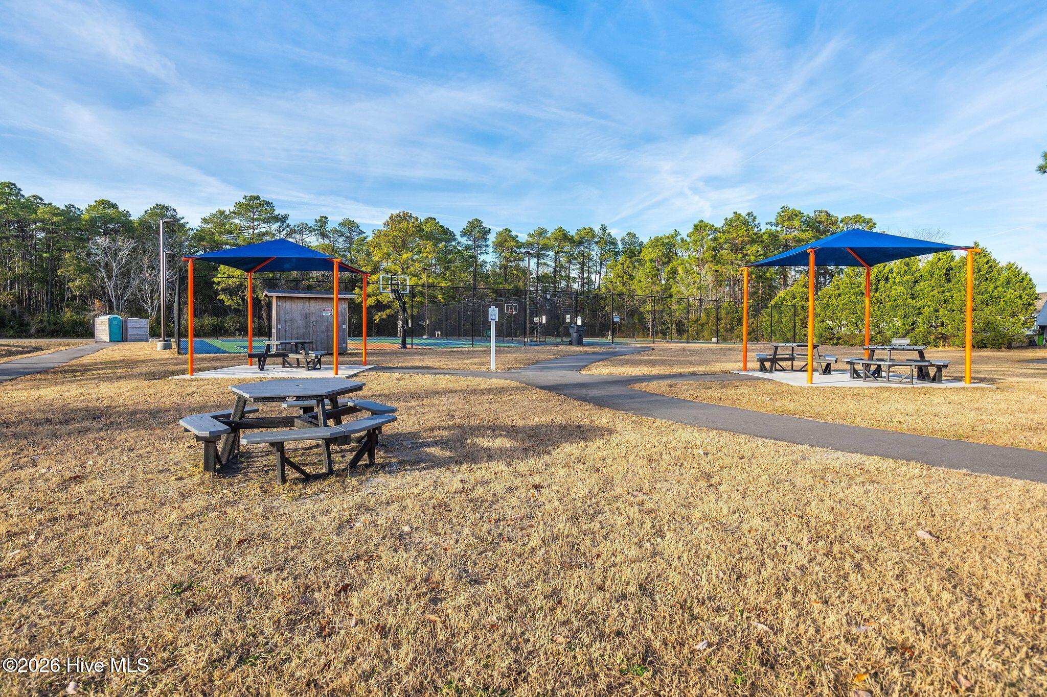 100557093 | Photo 99