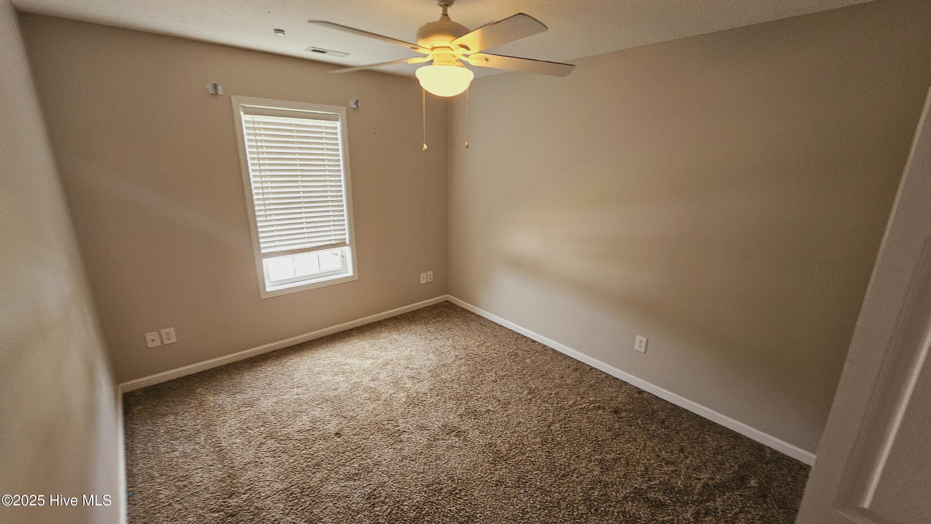 100565792 | Photo 18