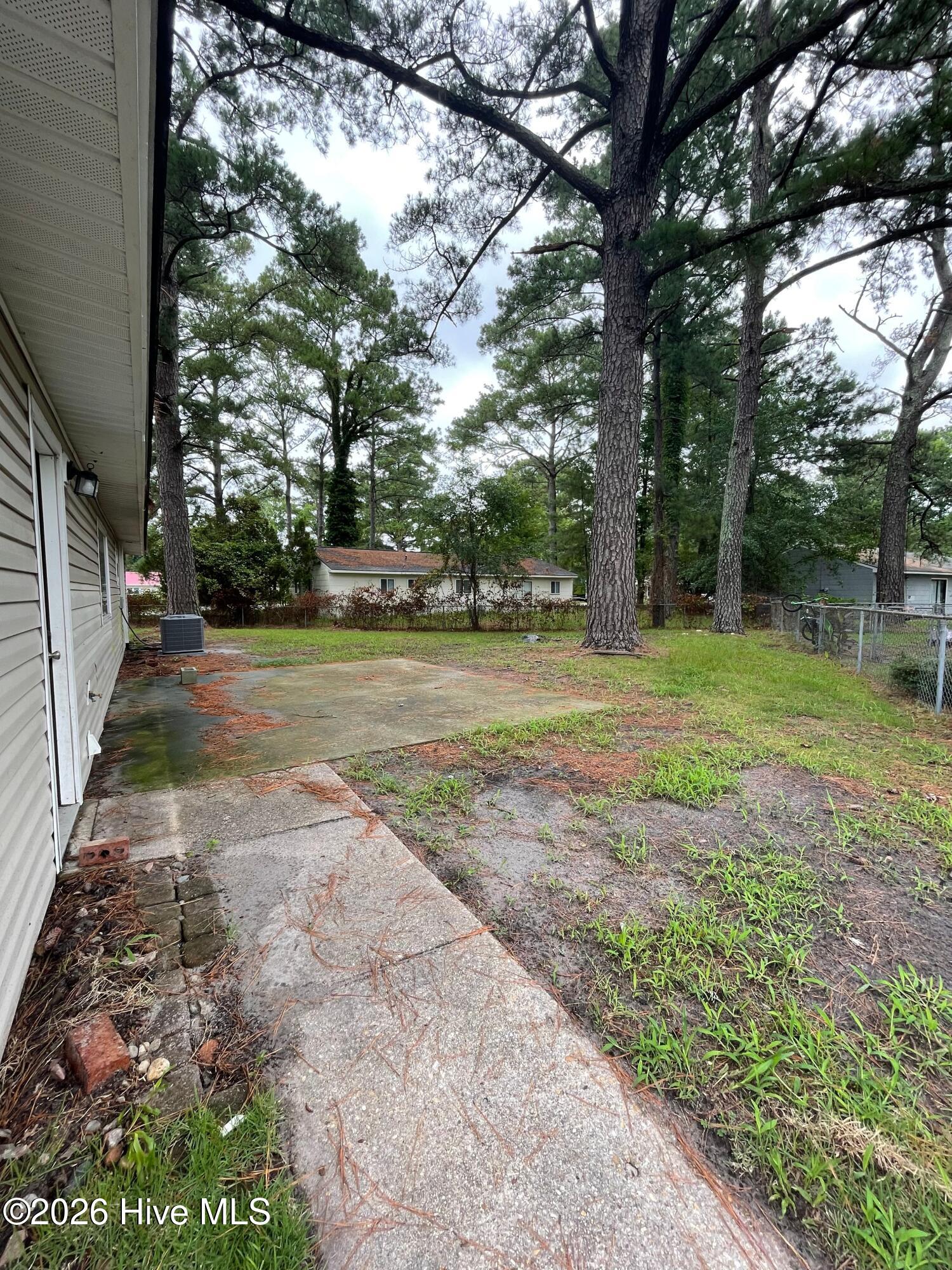 100553183 | Photo 19