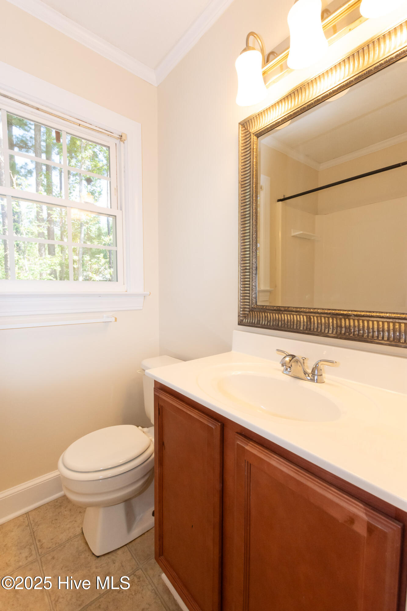 100506266 | Photo 48