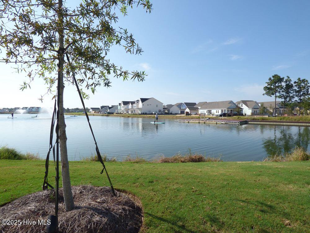 100557936 | Photo 48