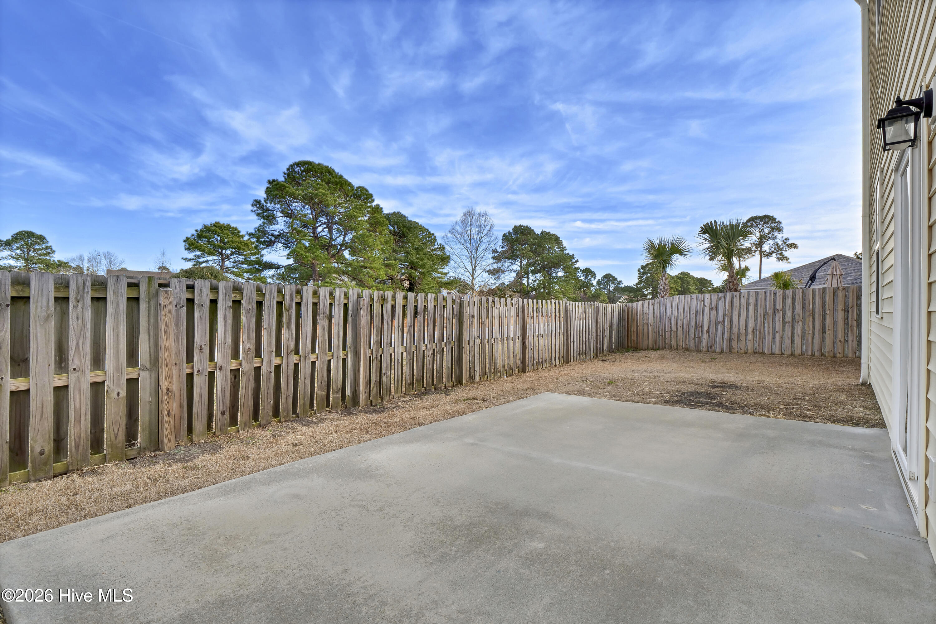 100555239 | Photo 31