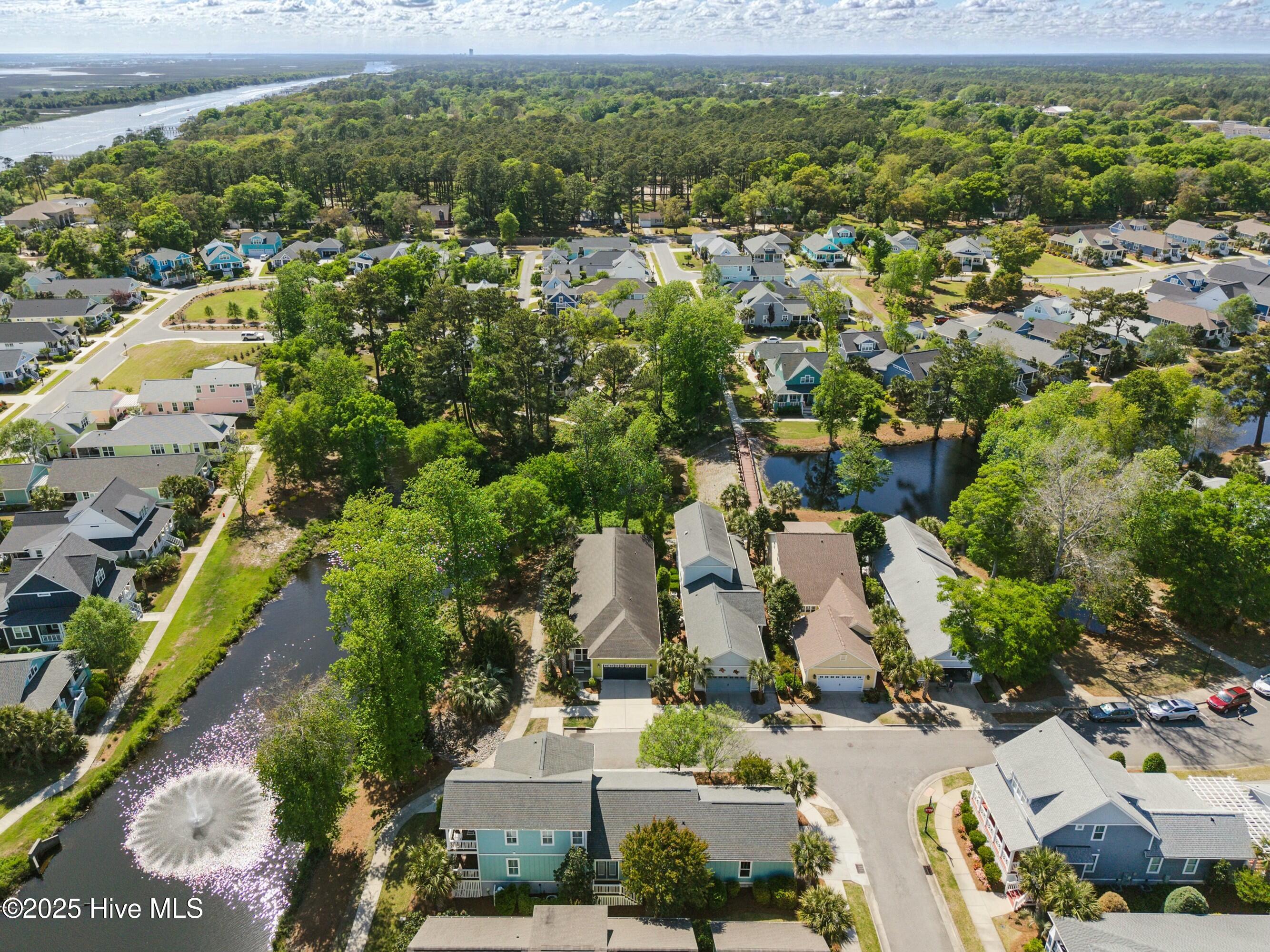 100560955 | Photo 54