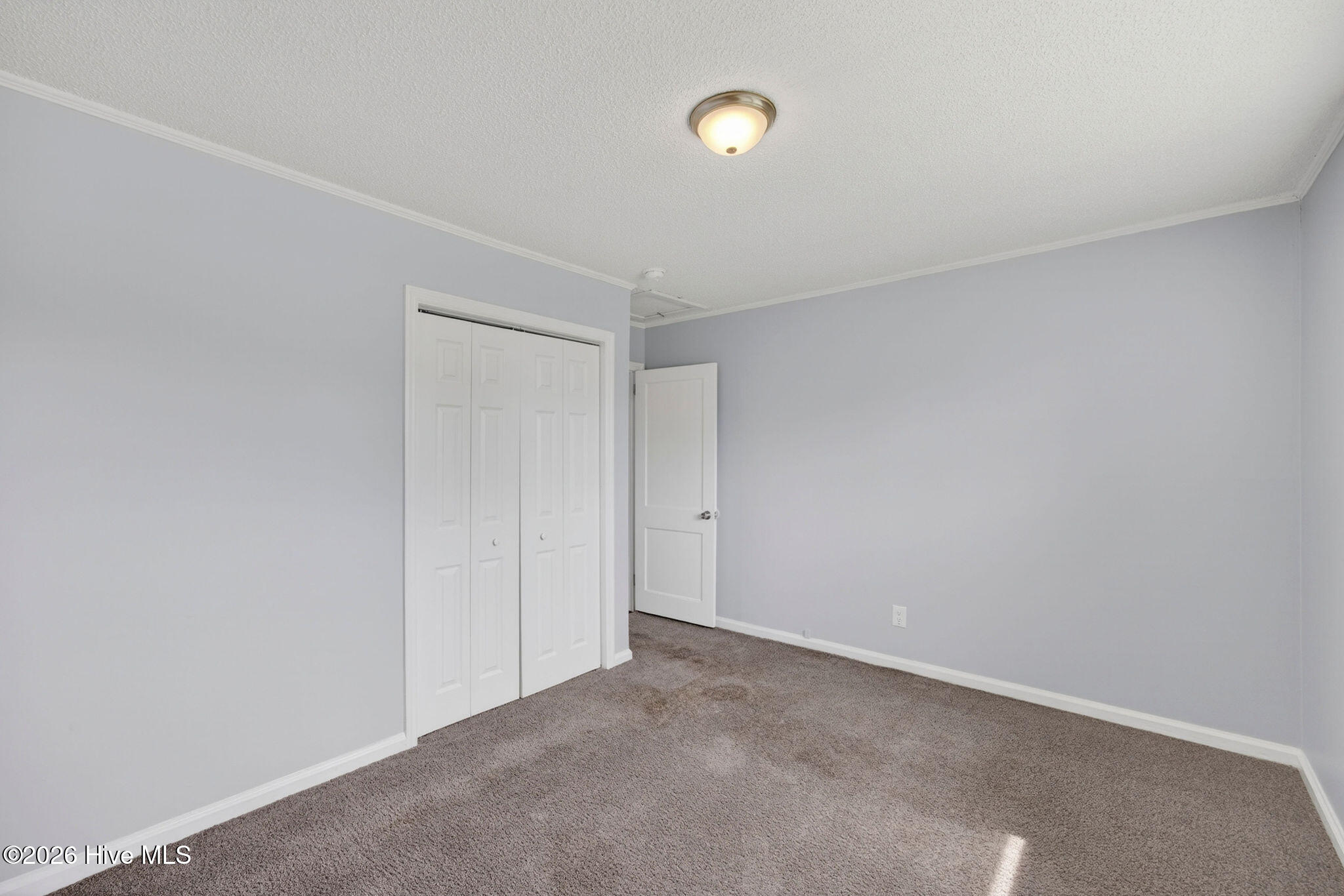 100567273 | Photo 37