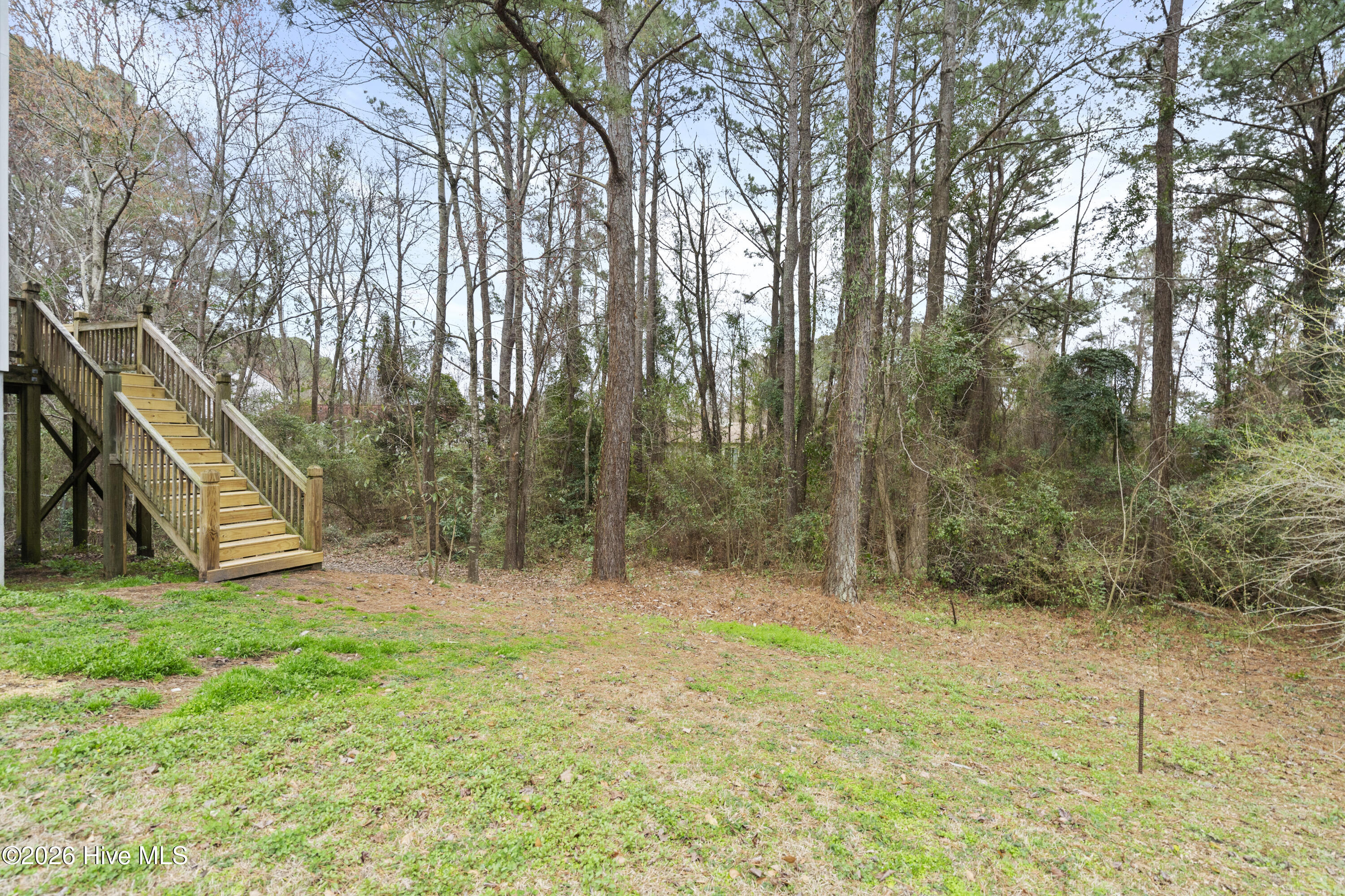 100557847 | Photo 38