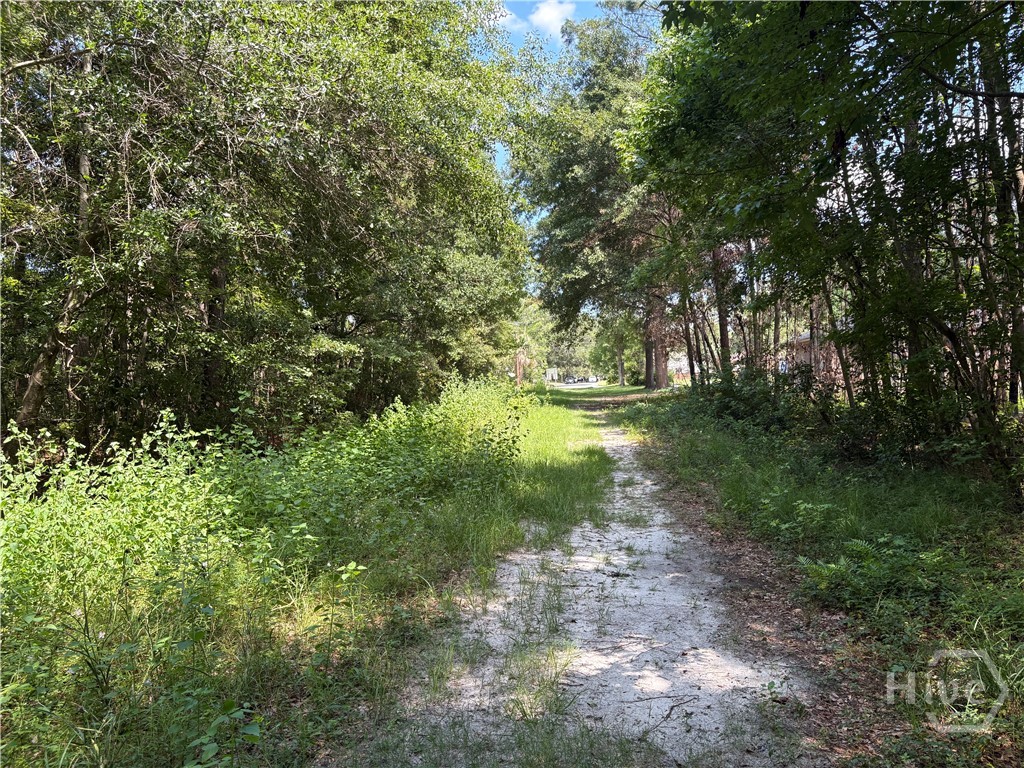 Lane on the back side of property