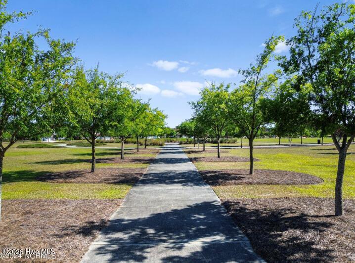 100549464 | Photo 35