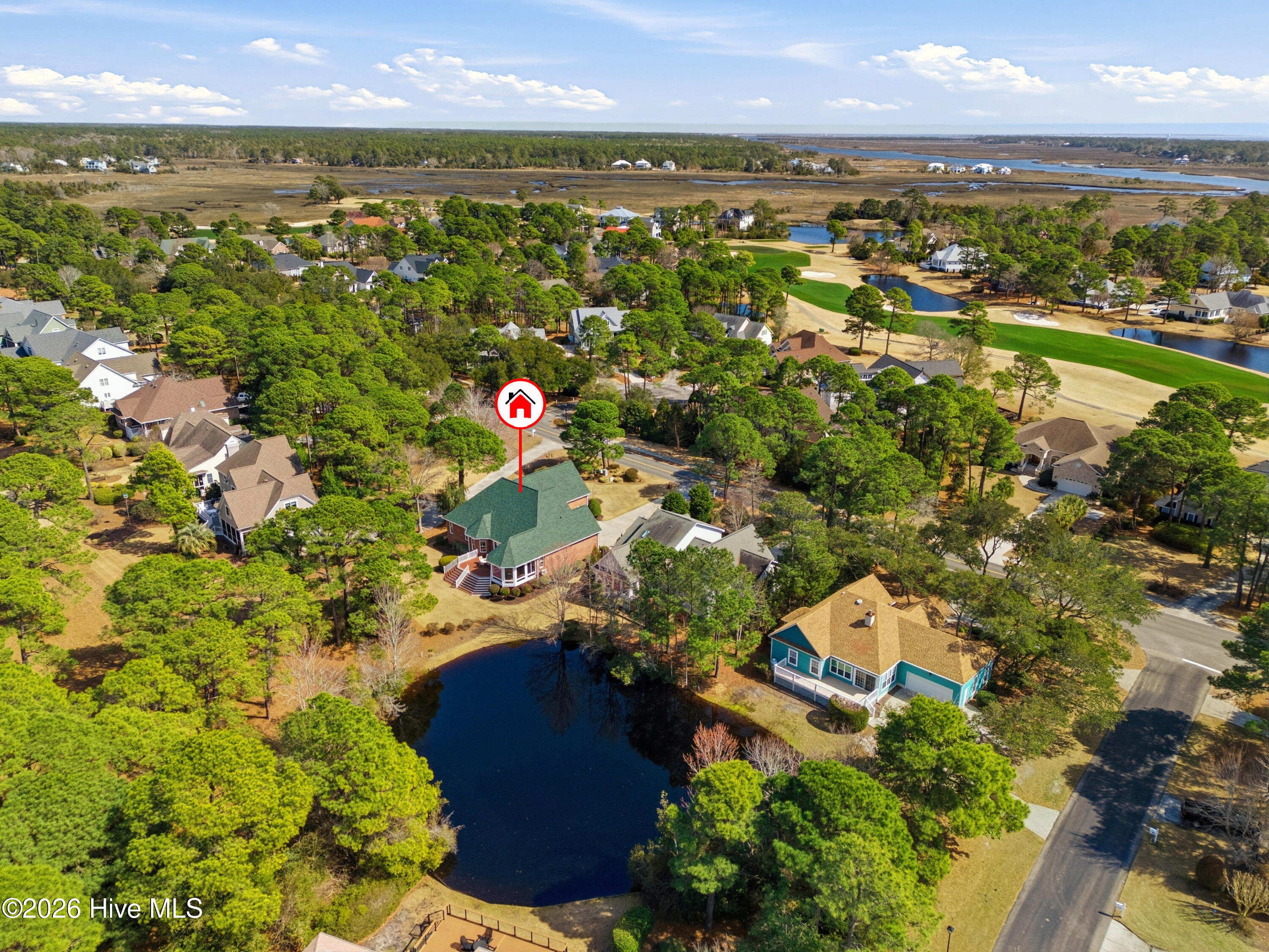 100558139 | Photo 62