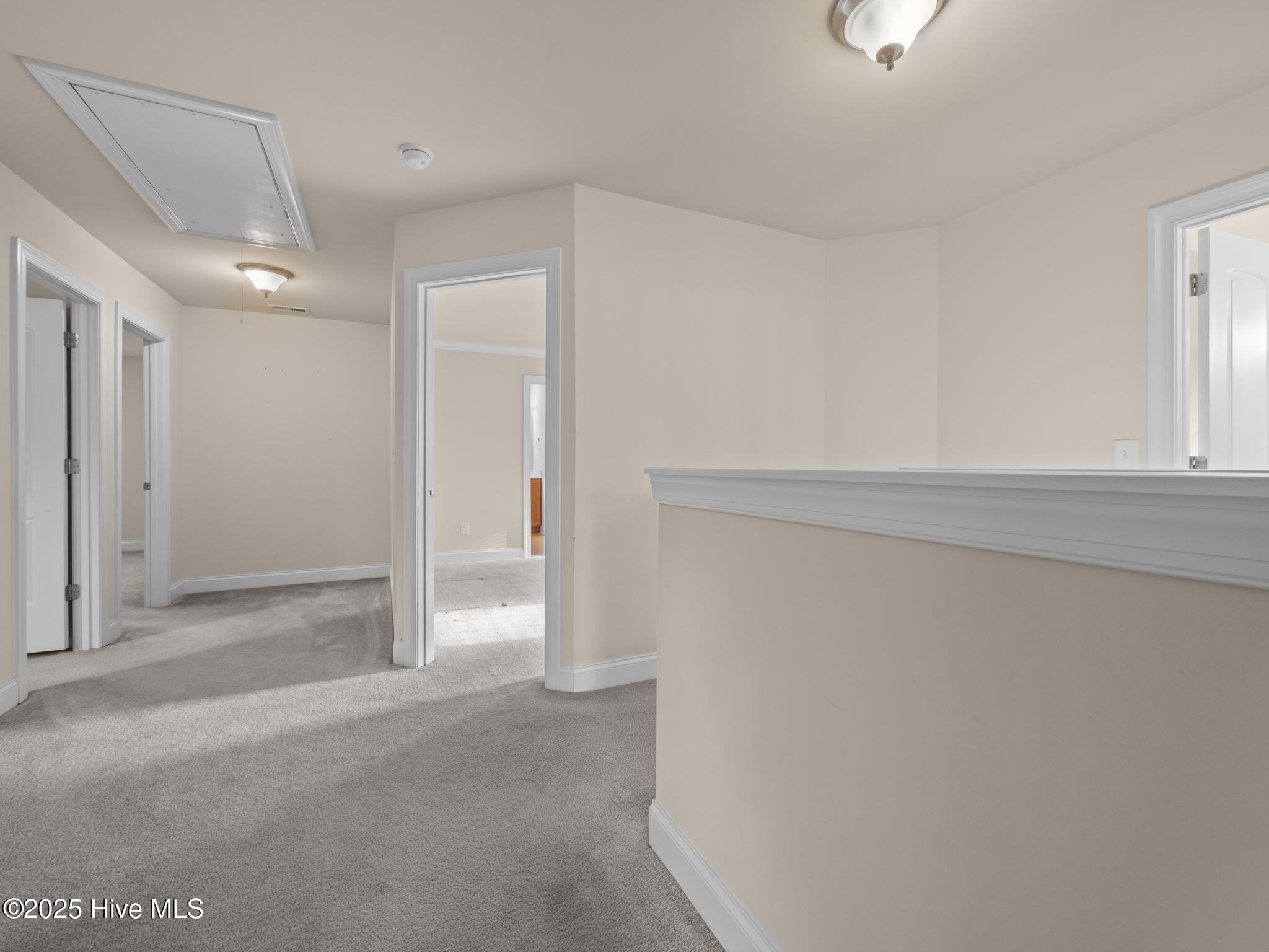 100545403 | Photo 40