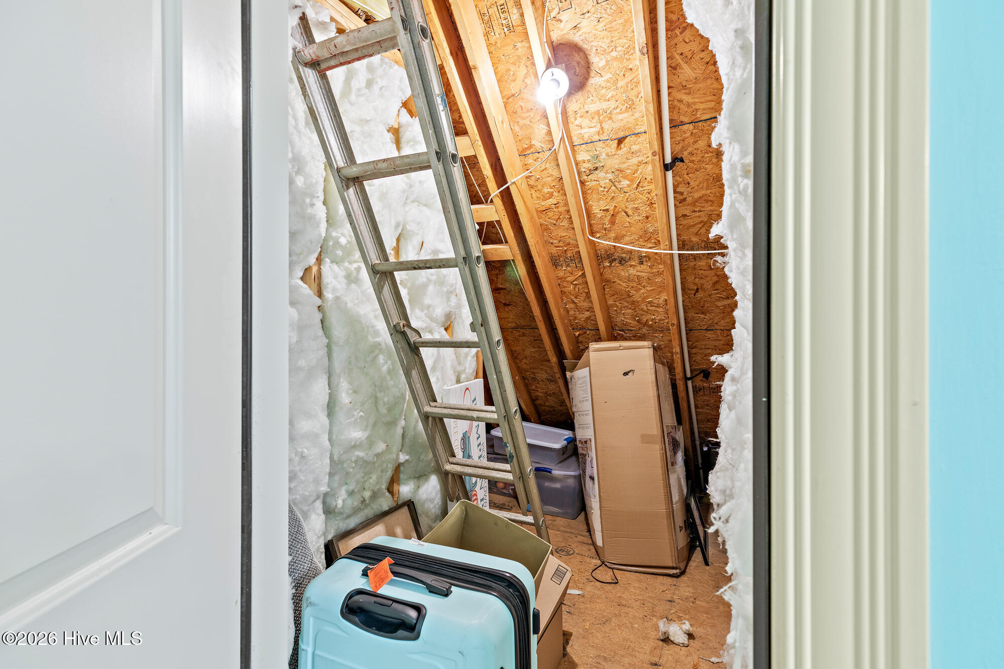 100554367 | Photo 83