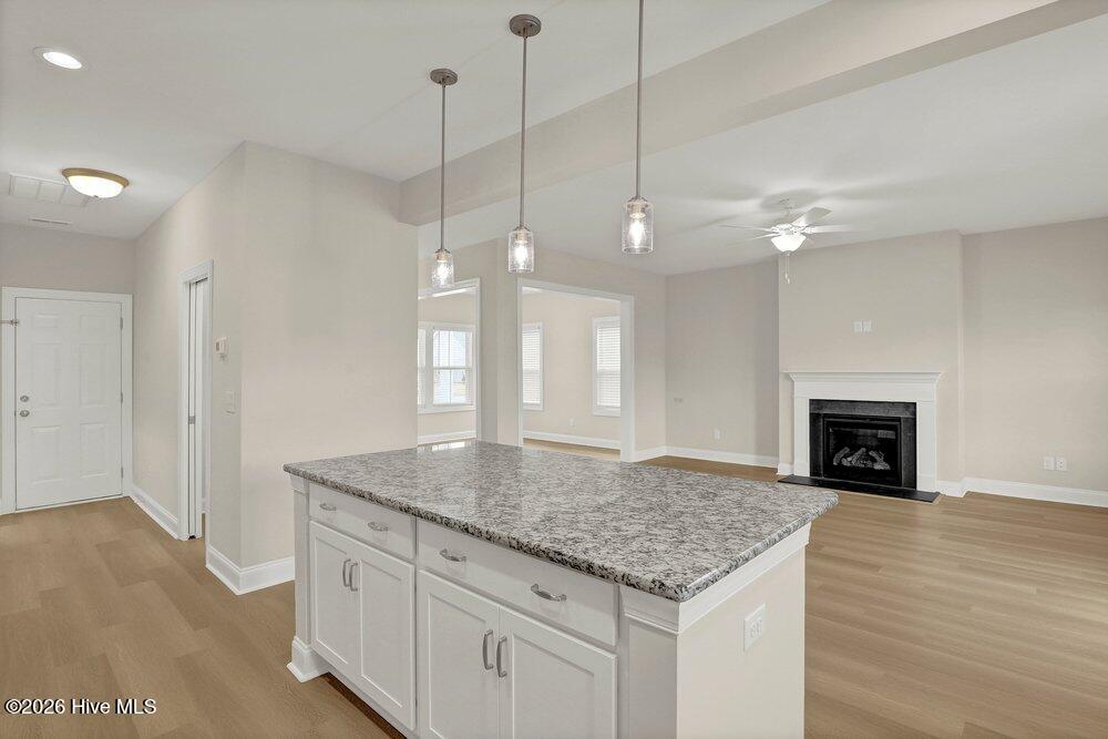 100558319 | Photo 11