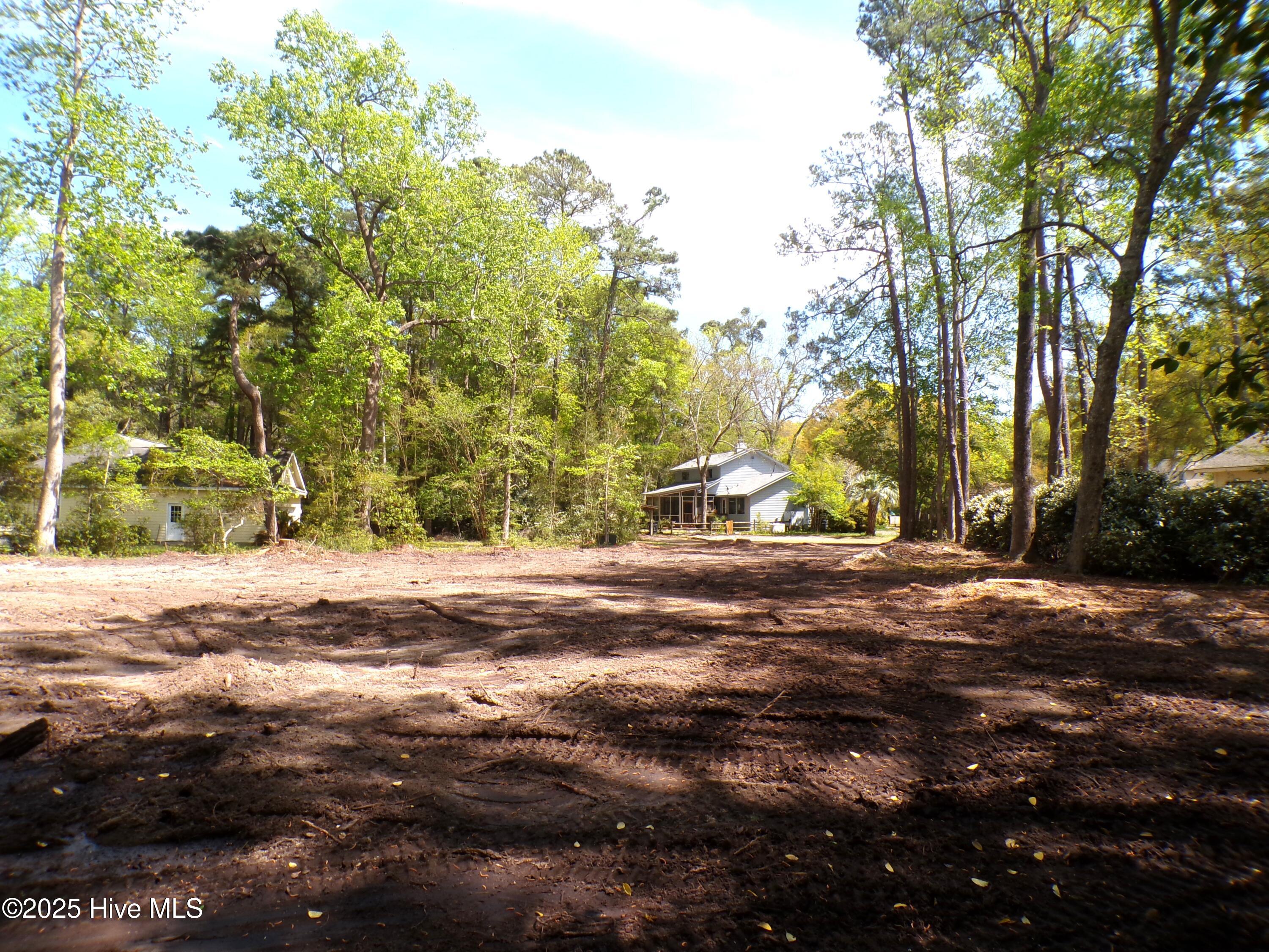 100499822 | Photo 12