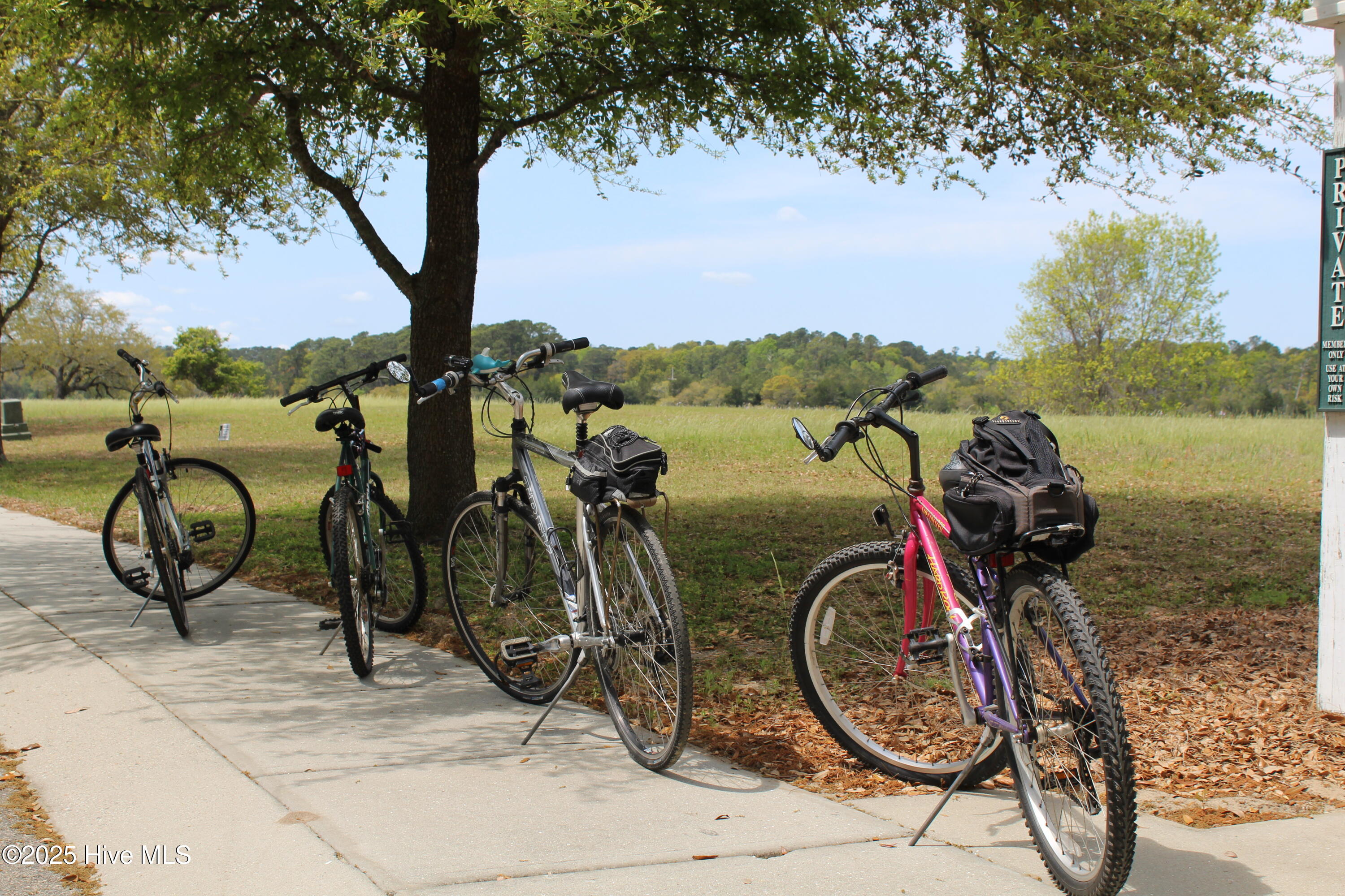 100540428 | Photo 13