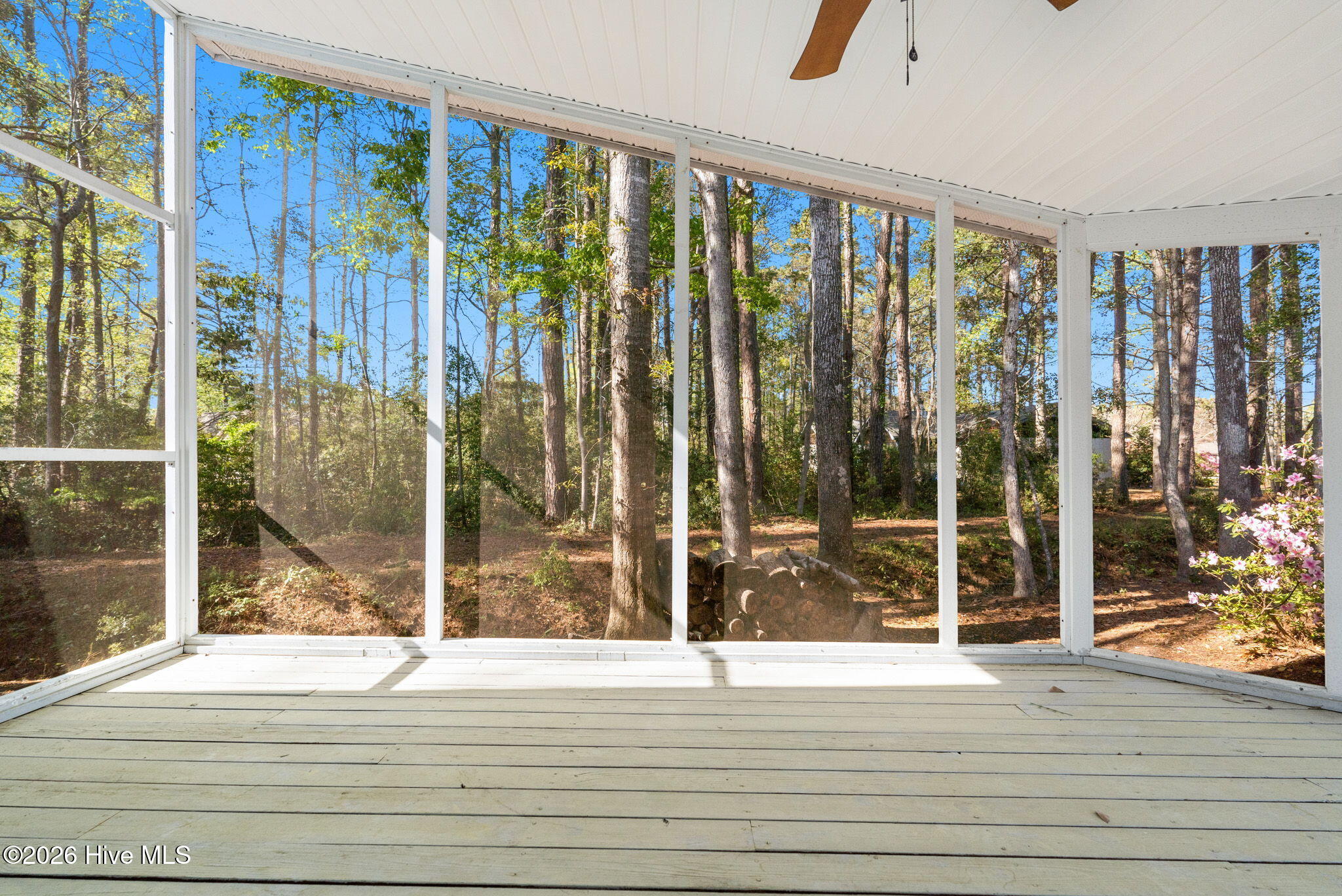 100555221 | Photo 42