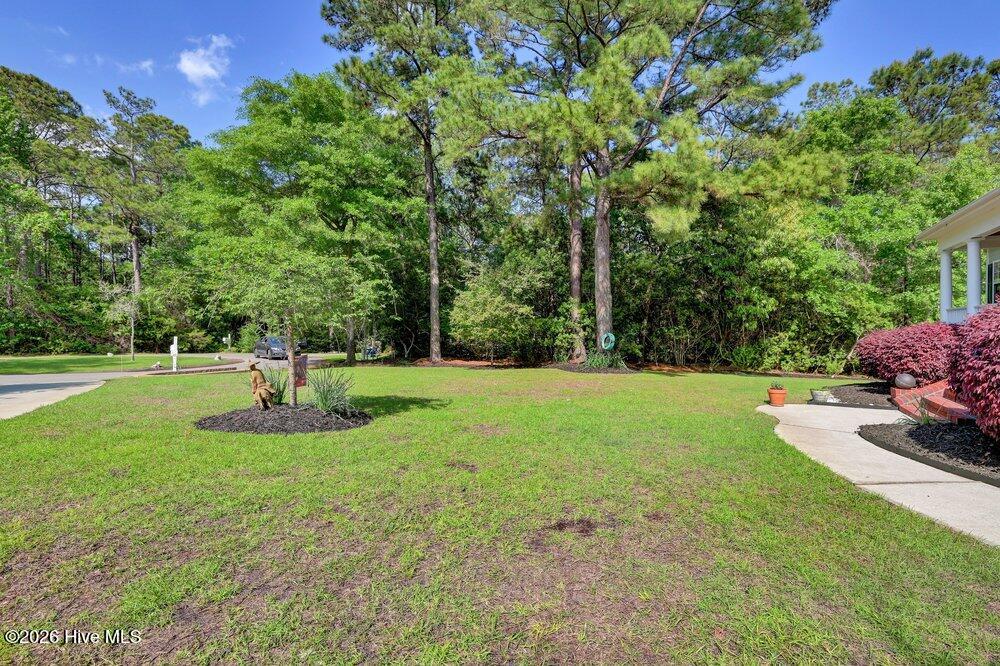 100568961 | Photo 57