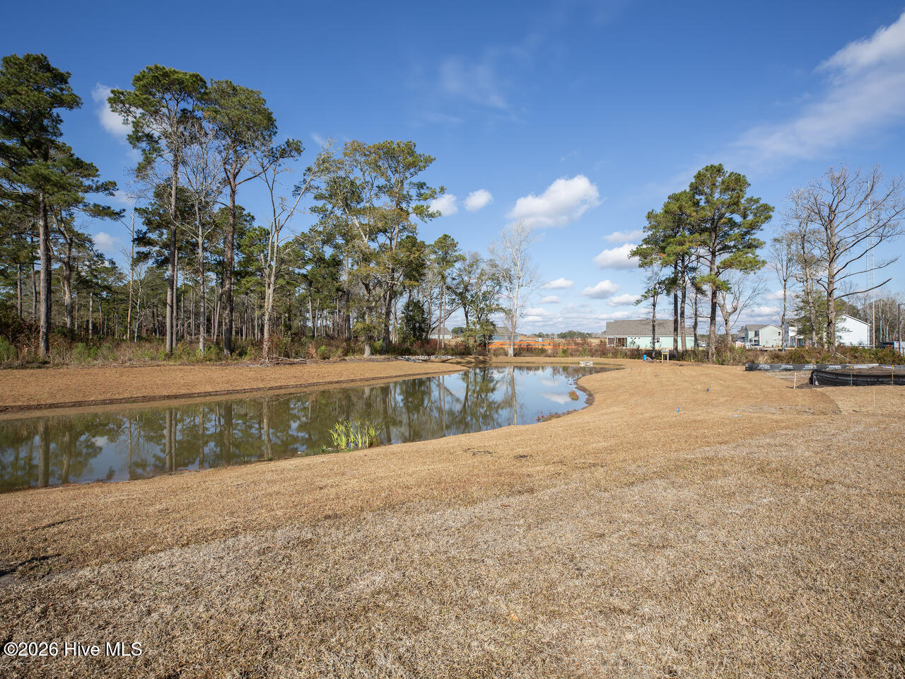 100530535 | Photo 43