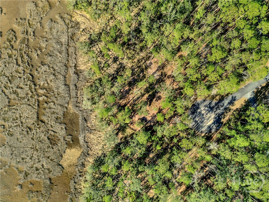 Homes for sale in Townsend, GA | 0 Sapelo Cir Ne, Townsend, GA 31331 | MLS# SA347659