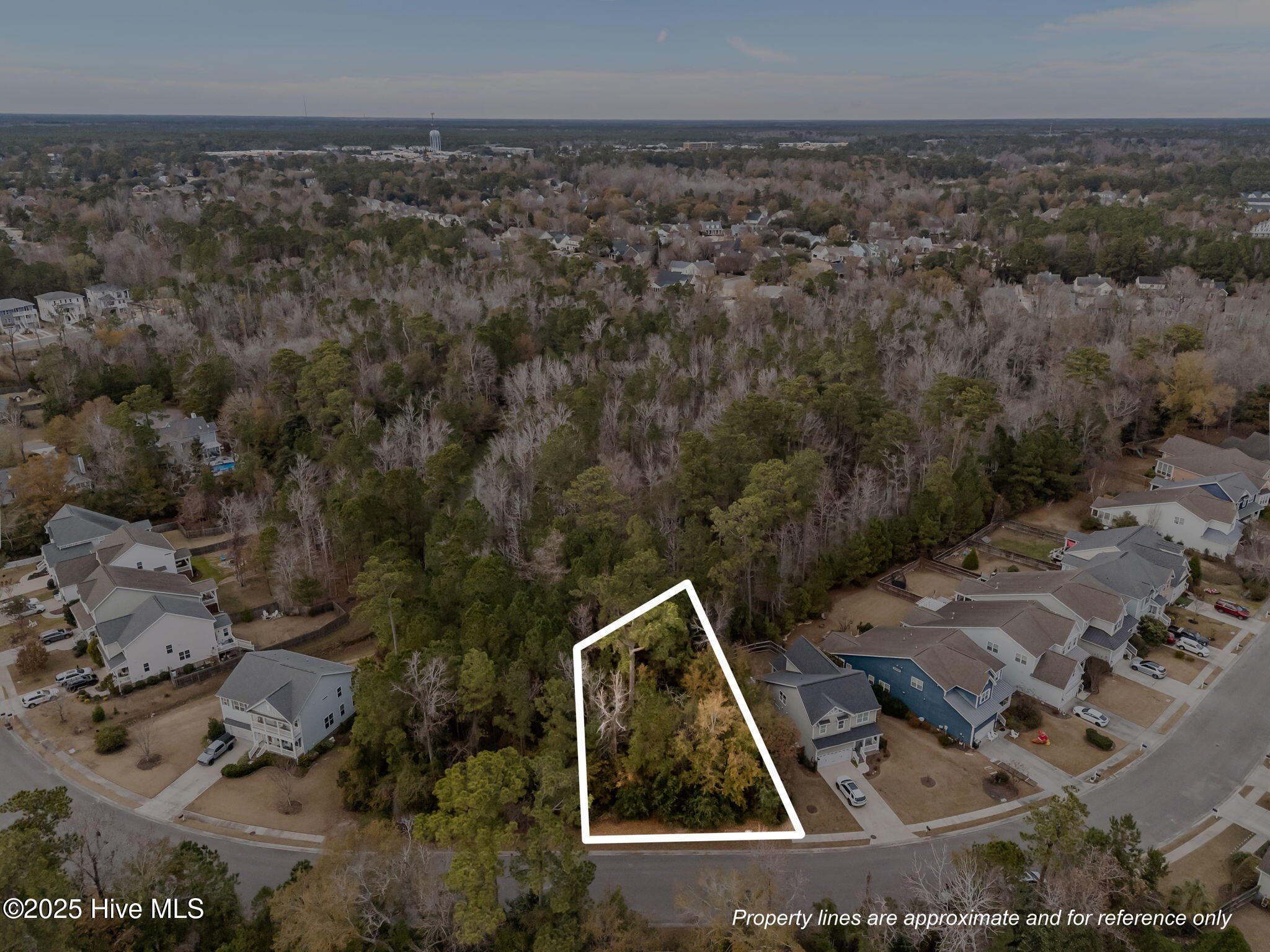 100546268 | Photo 10