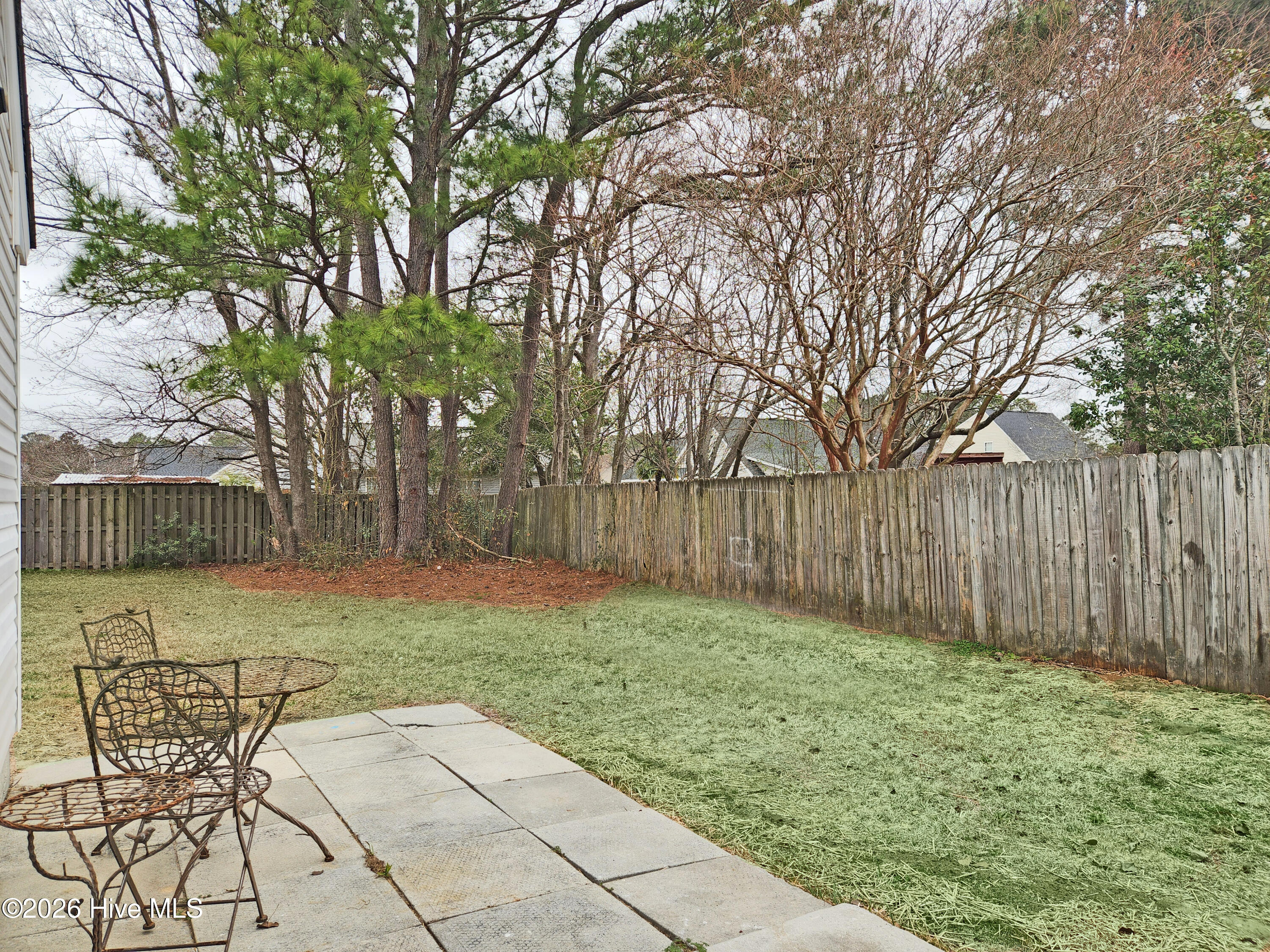 100557960 | Photo 23