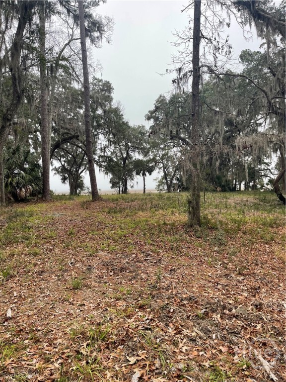 2050 Belle Hammock, Townsend, Georgia, 0 ,Land,For sale,Belle Hammock,SA350342 2050 Belle Hammock, Townsend, Georgia, 0 ,Land,For sale,Belle Hammock,SA350342