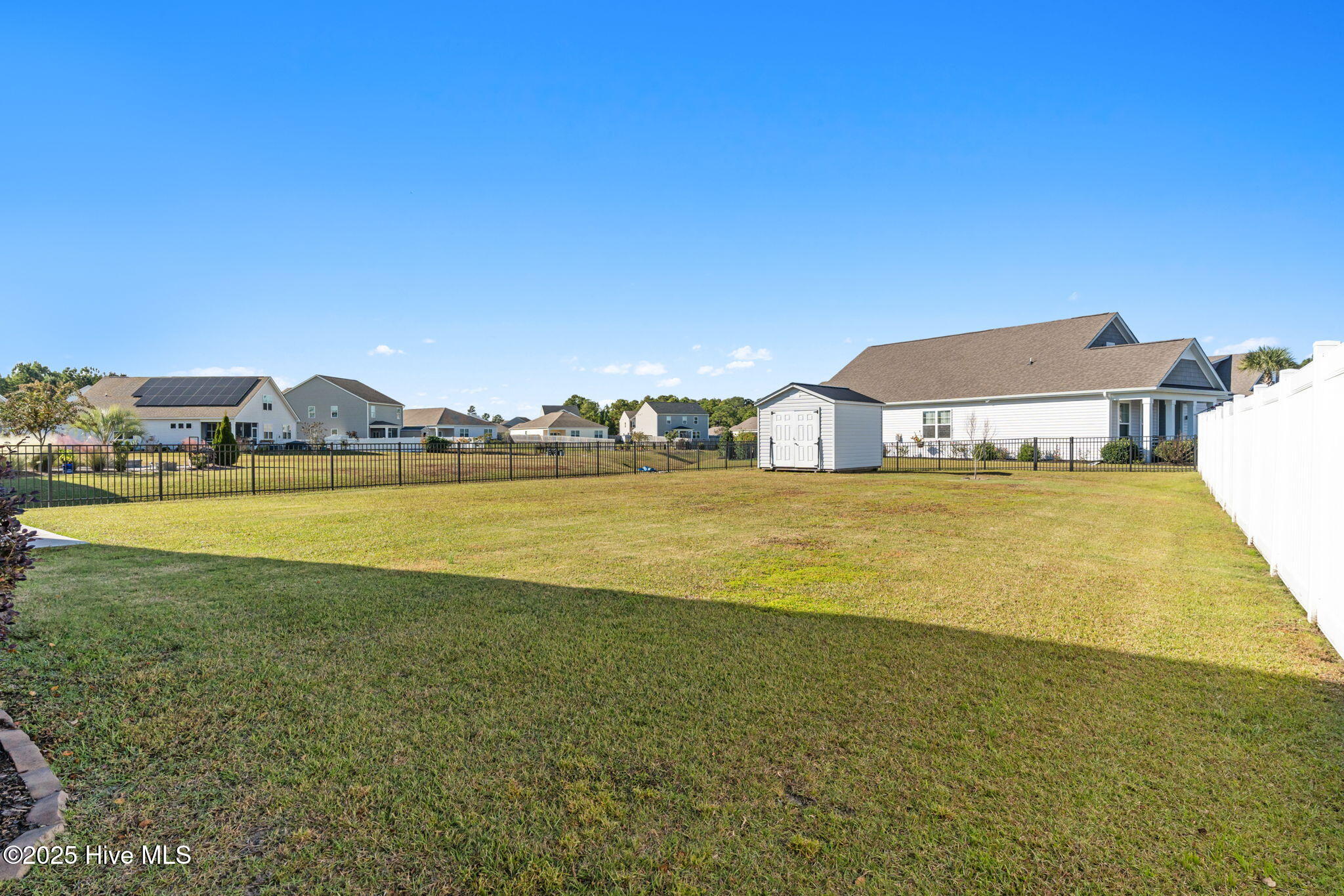 100538184 | Photo 50