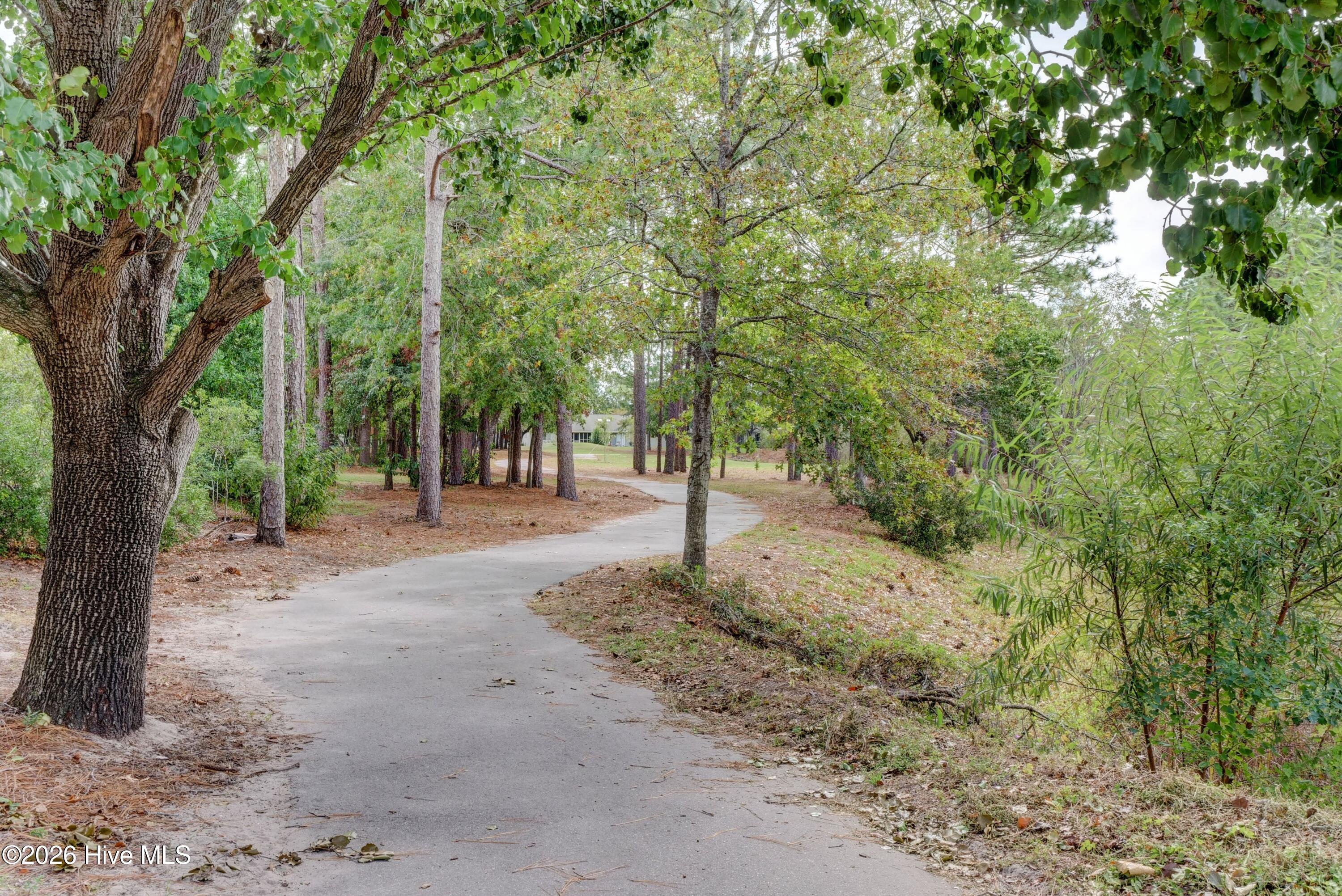 100562234 | Photo 40