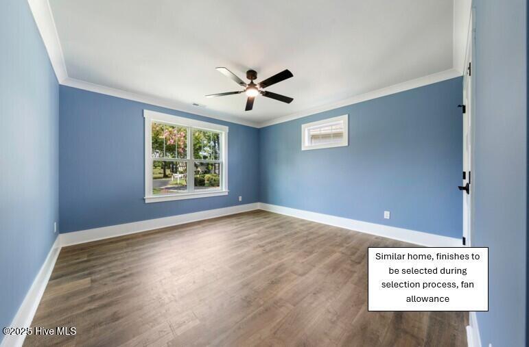 100553023 | Photo 24