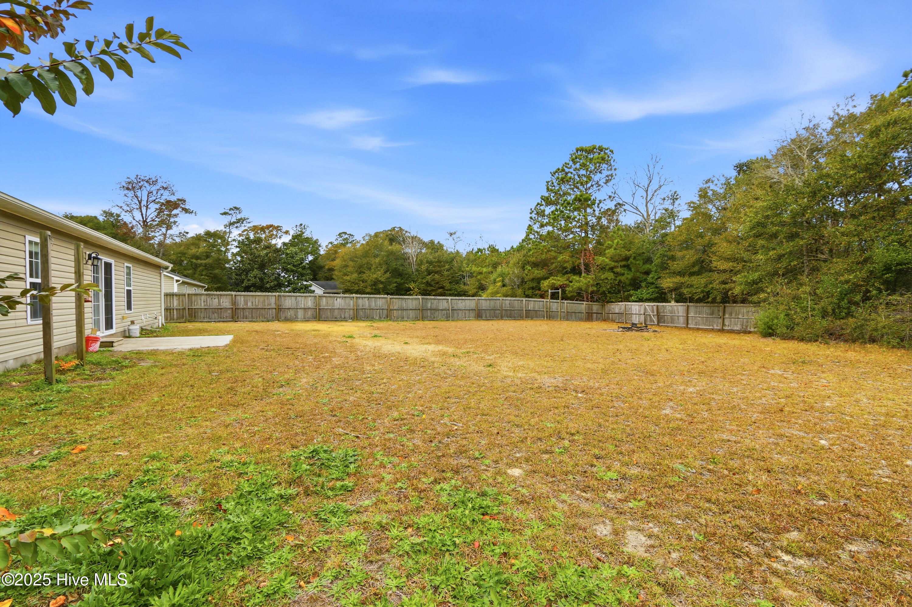 100531186 | Photo 39