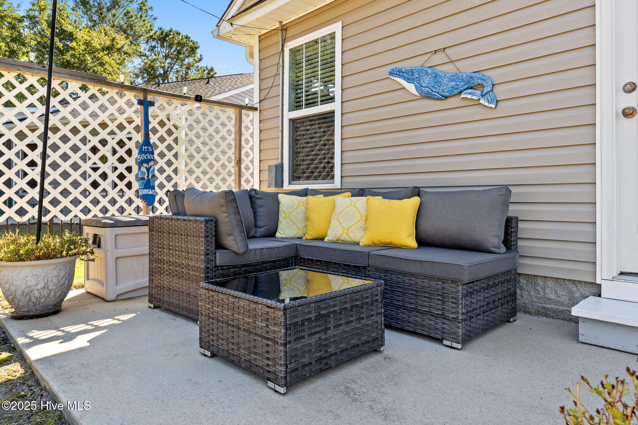 100536893 | Photo 34