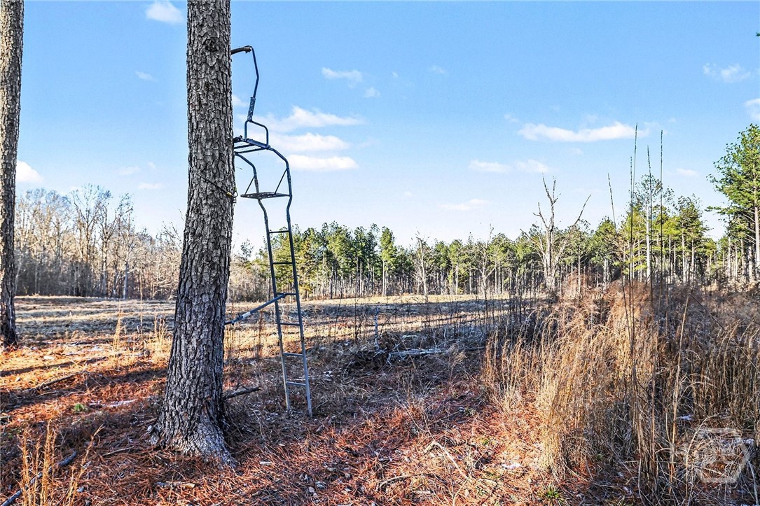 2285 Cherokee Road, Comer, GA, 30629