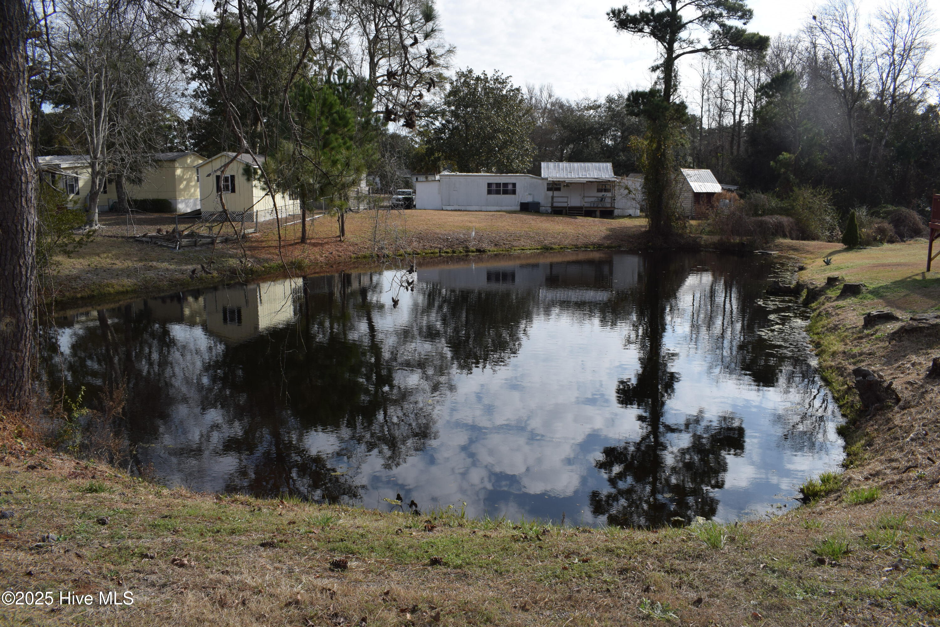 100547156 | Photo 33