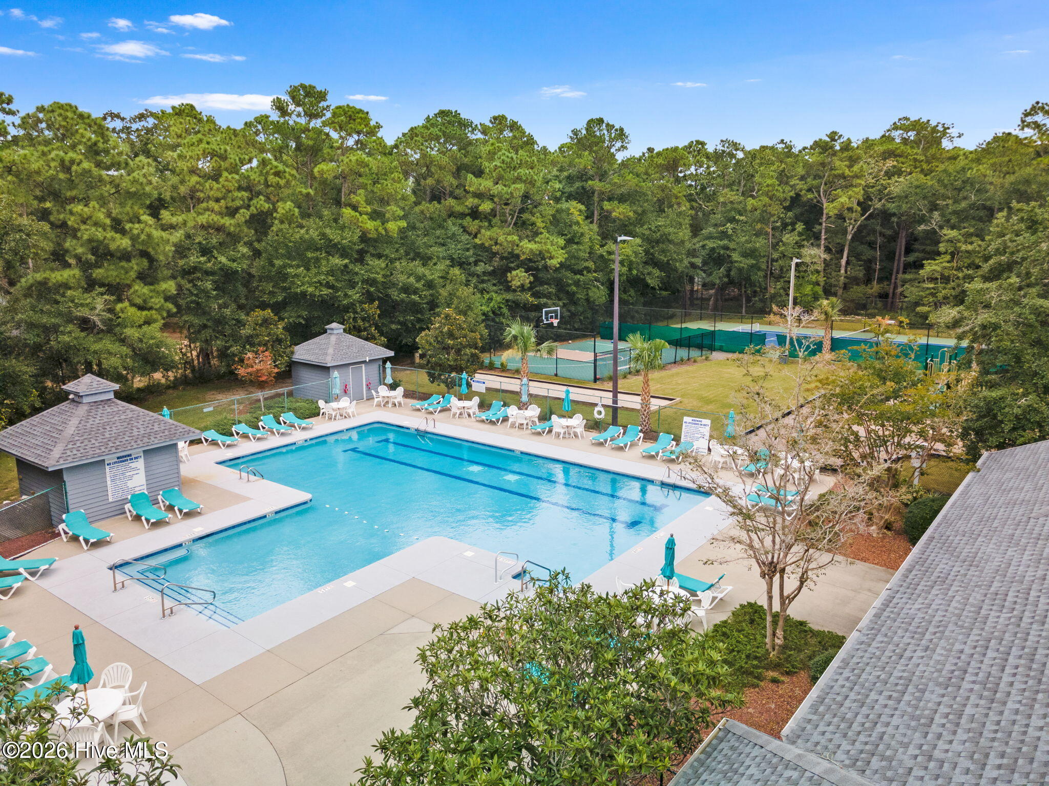 100558915 | Photo 33