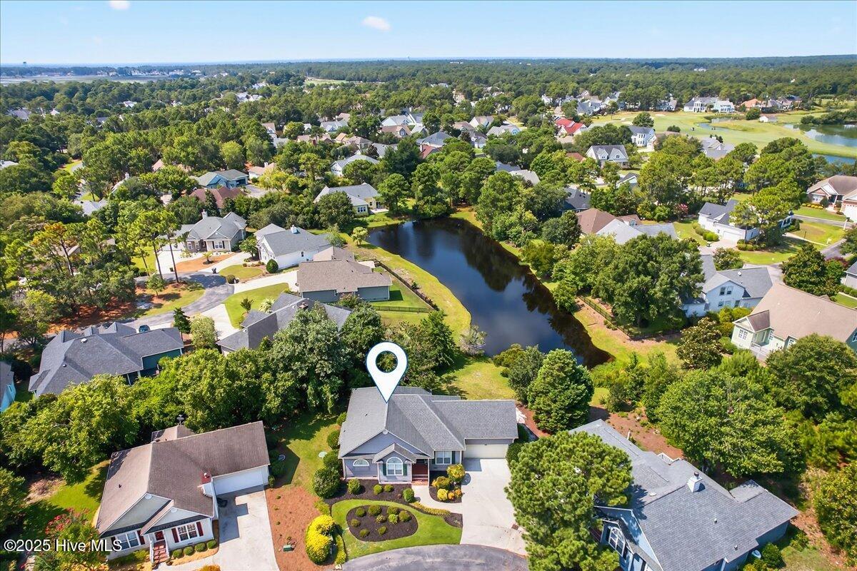 100561885 | Photo 87