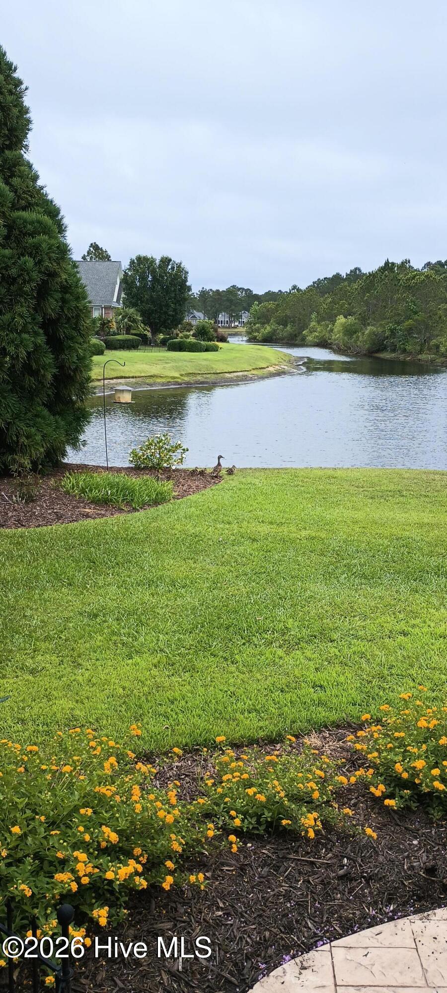 100555676 | Photo 57