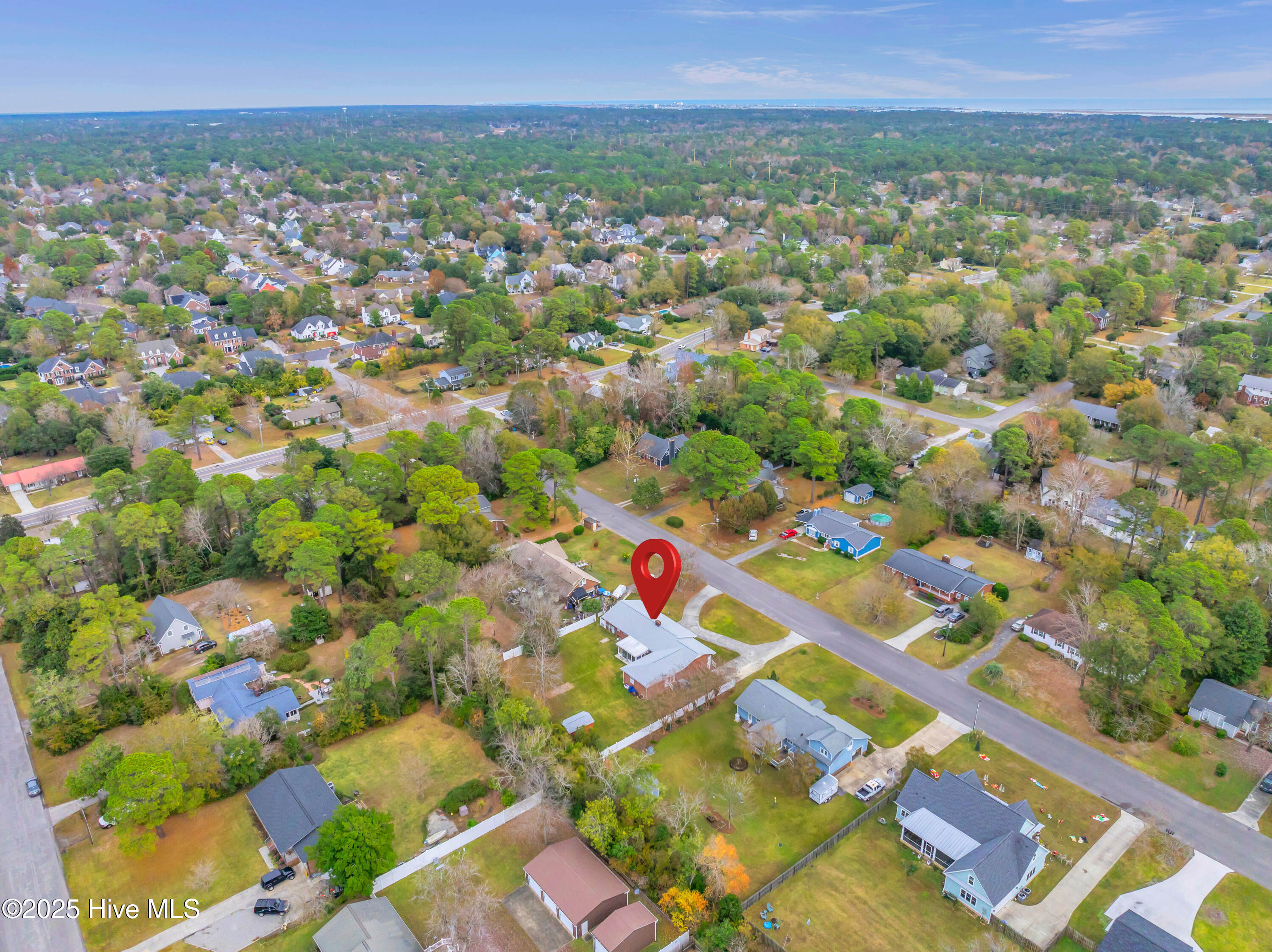 100542884 | Photo 19