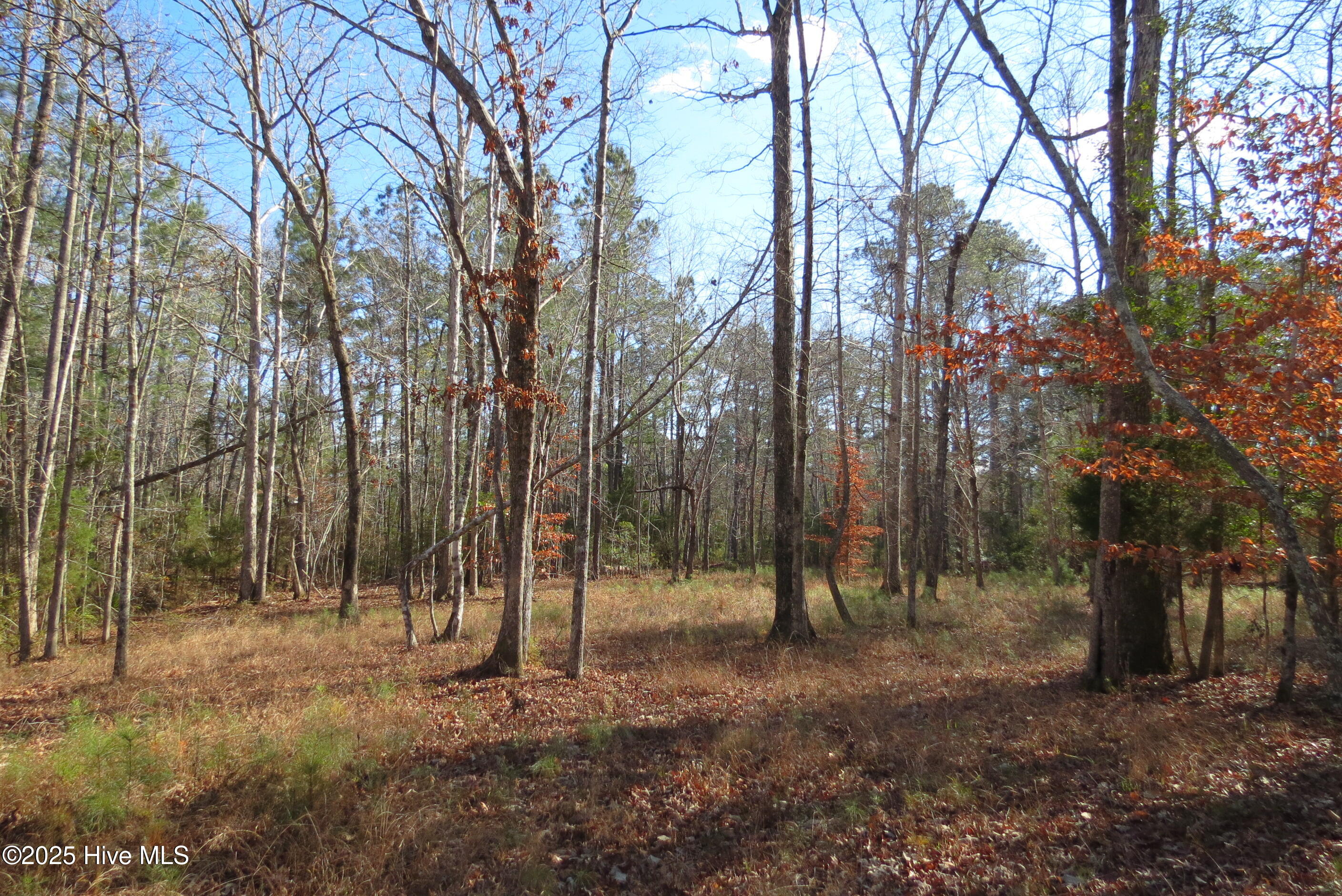 109 Winding Creek Drive, Oriental, NC, 28571