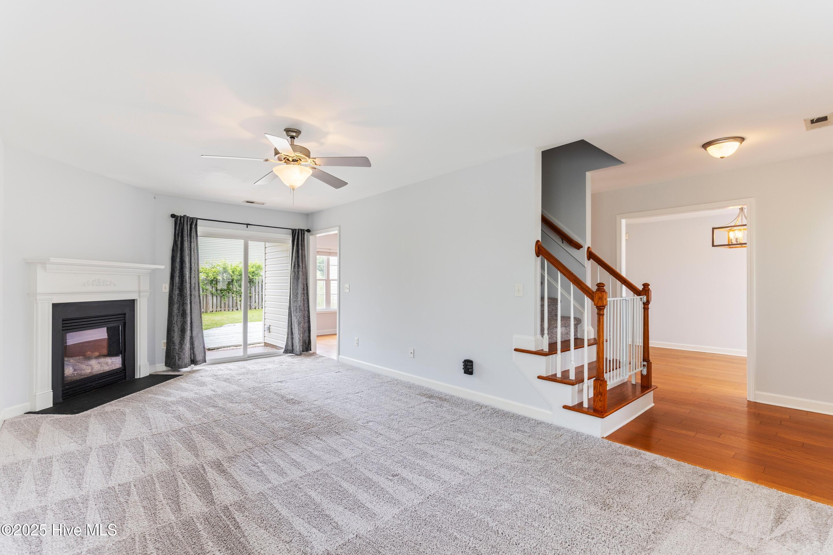 100527201 | Photo 14