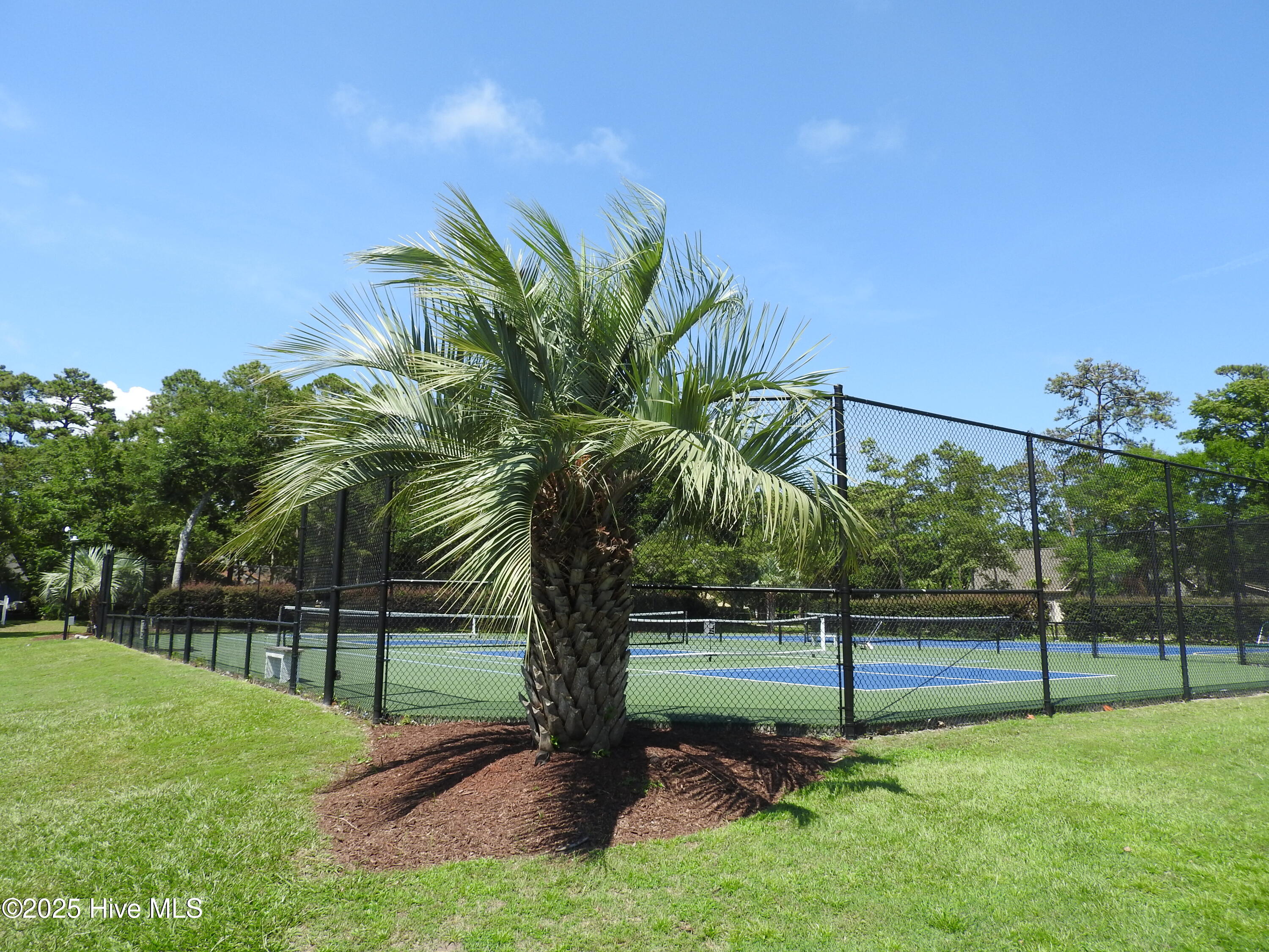 100520083 | Photo 44