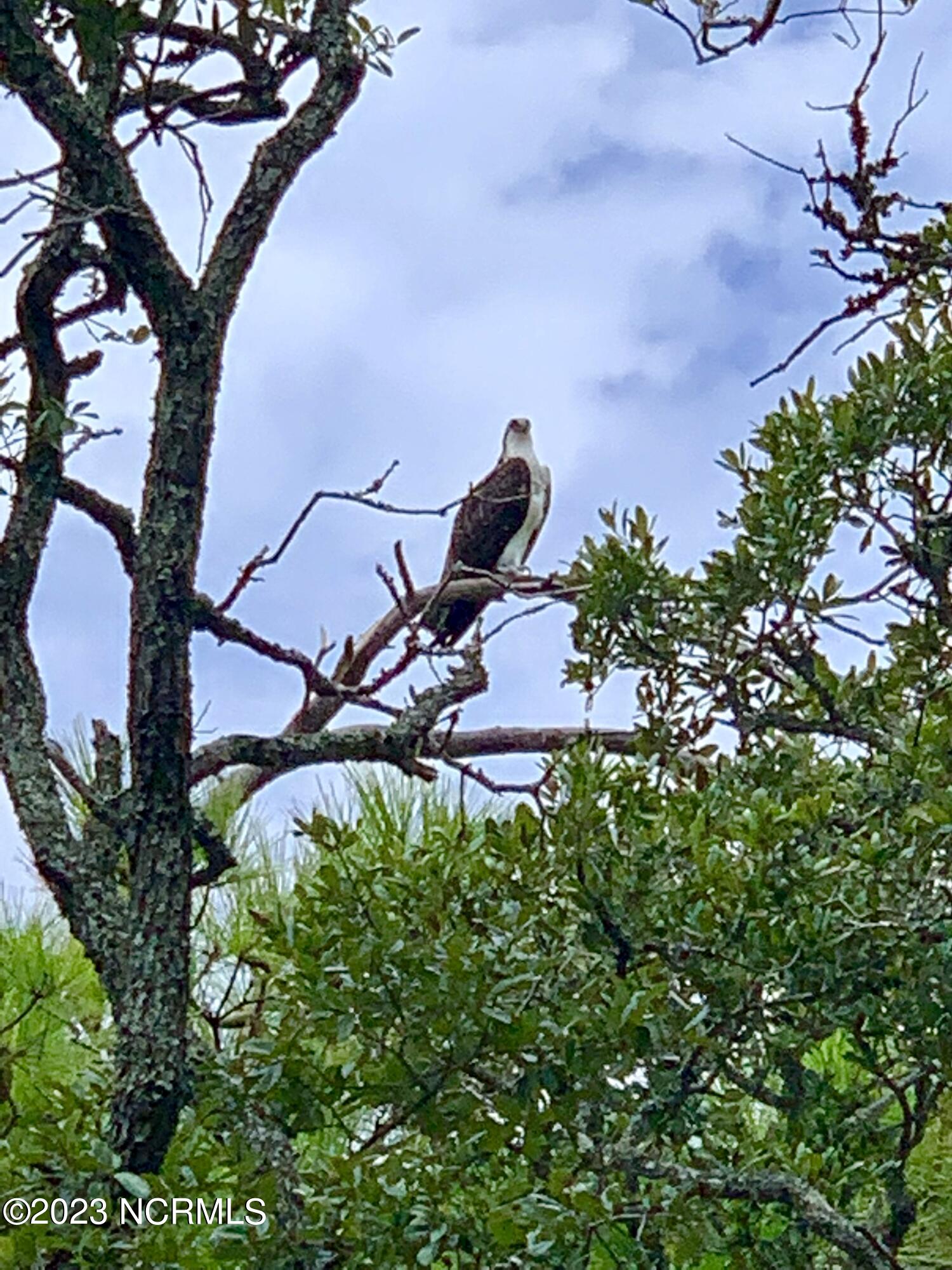 100388234 | Photo 35