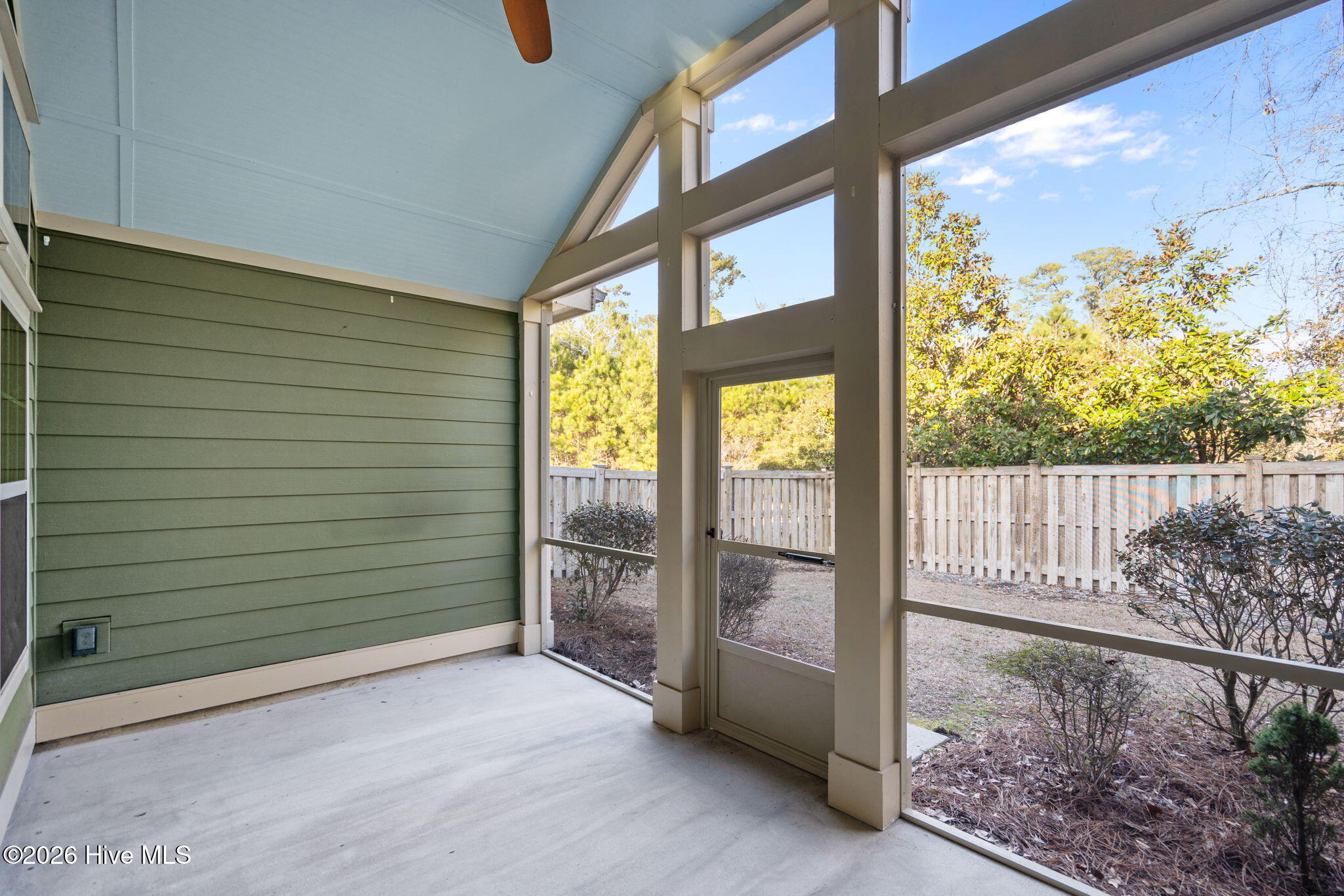 100554363 | Photo 29