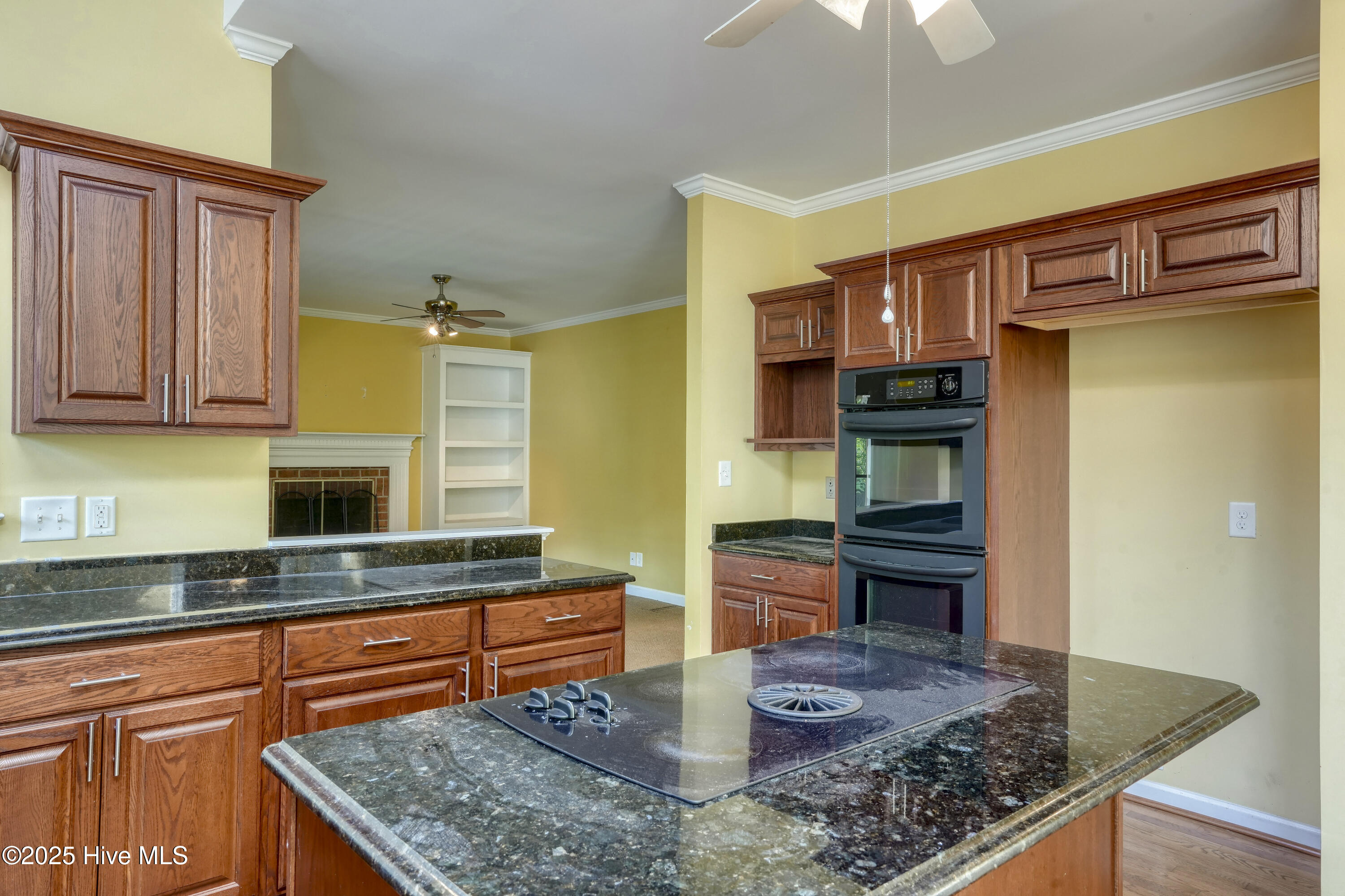 100554842 | Photo 11