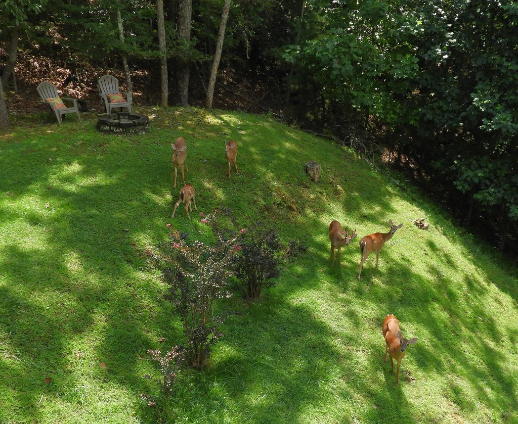 380 Bear Trail, Murphy, NC 28906 Listing Photo  66