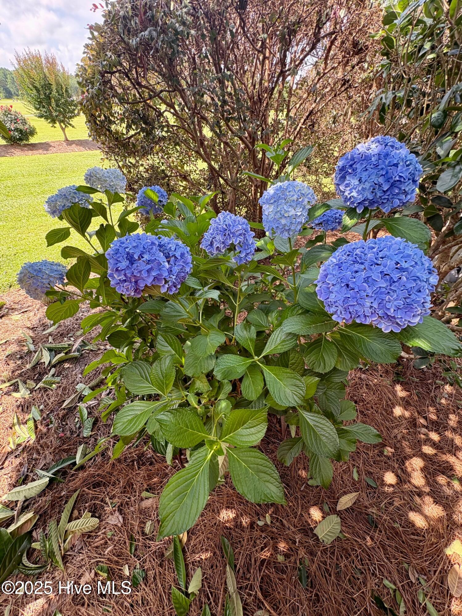 100518479 | Photo 53