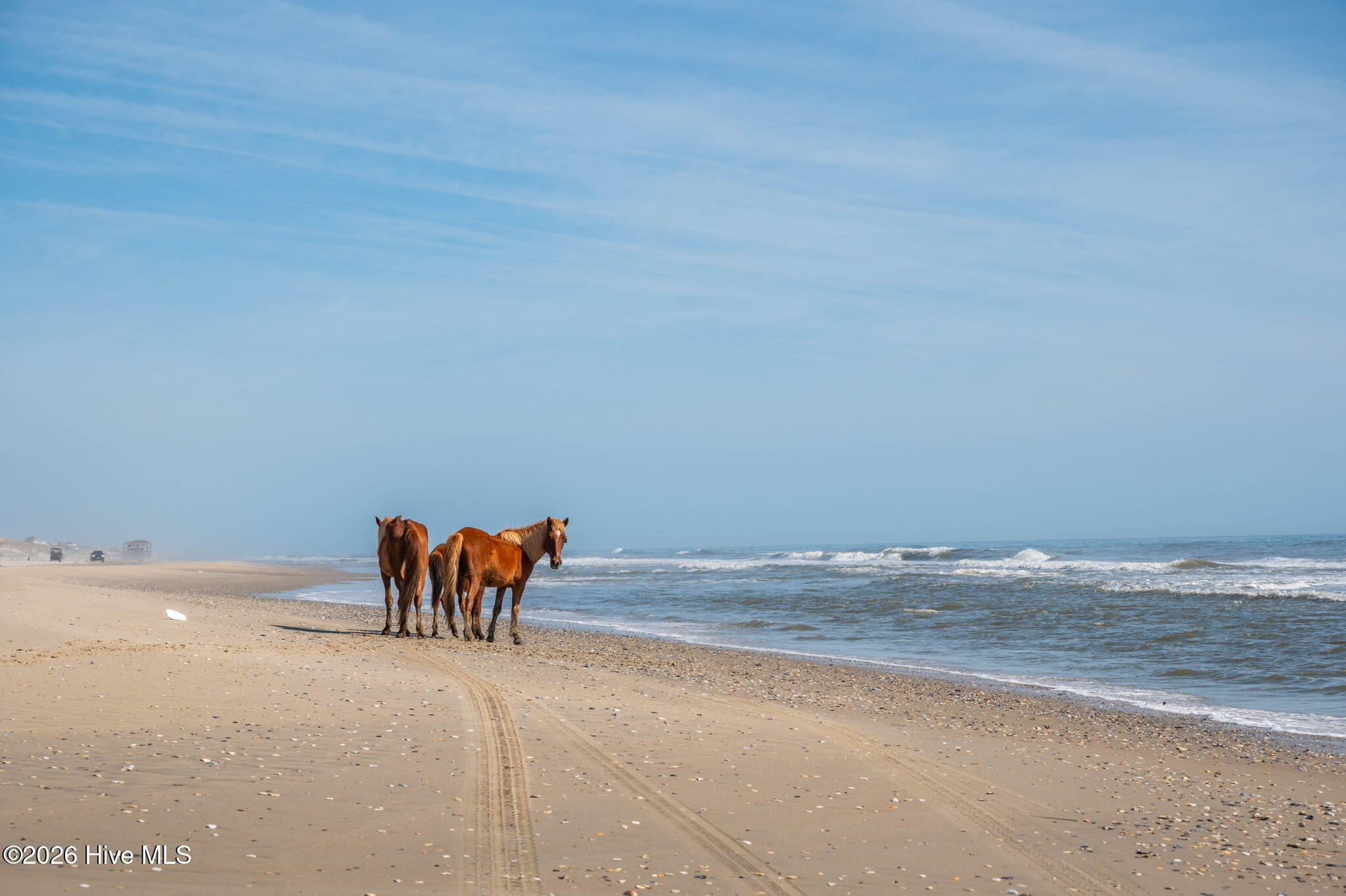2088 Sandpiper Road, Corolla, NC, 27927