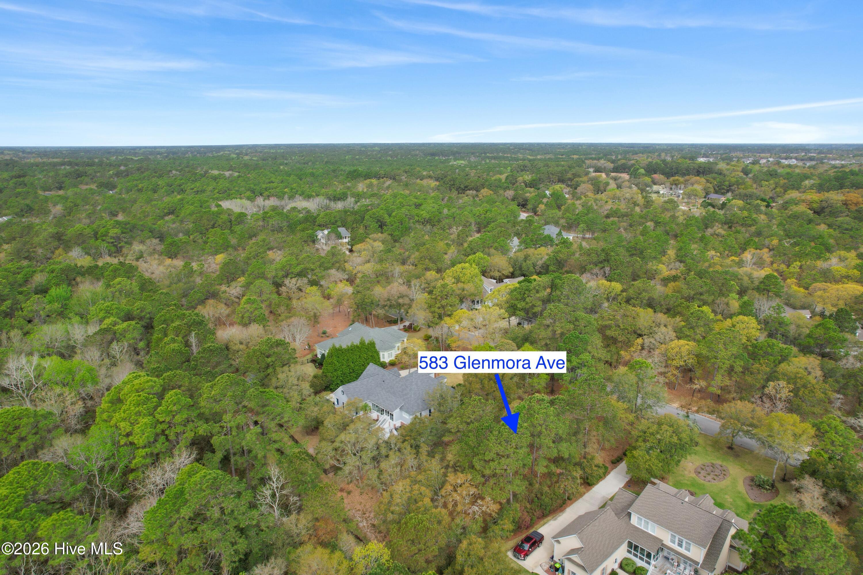 100565243 | Photo 13