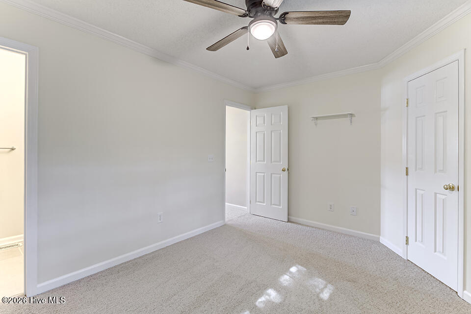 100565987 | Photo 28