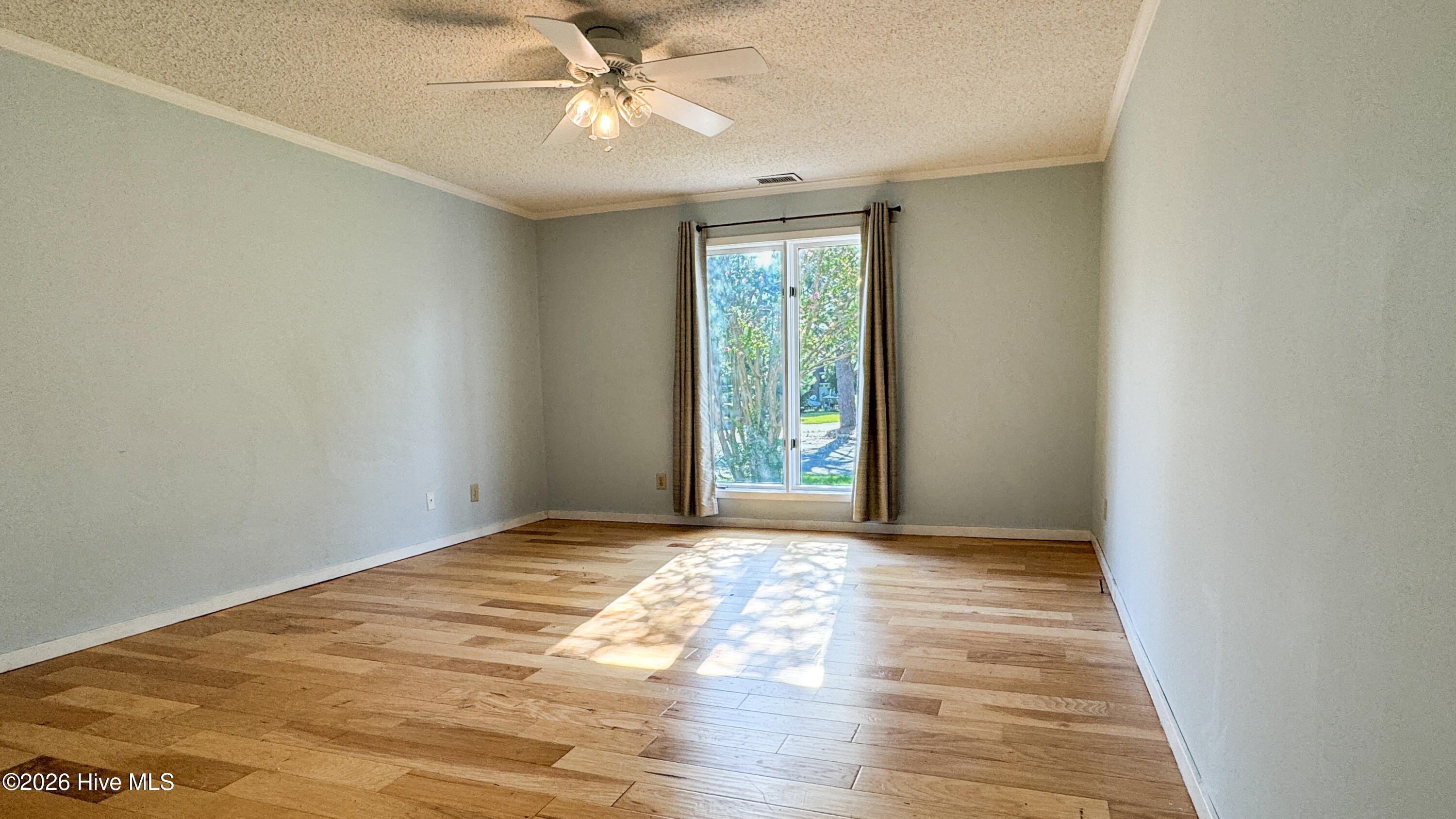 100565099 | Photo 22