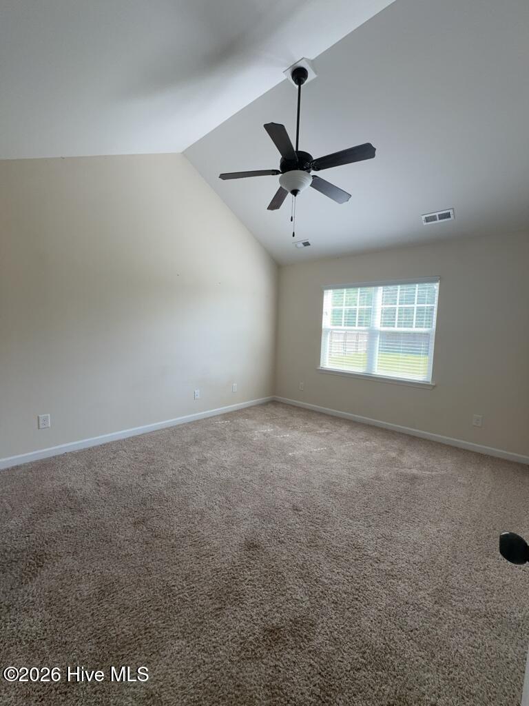 100563176 | Photo 12