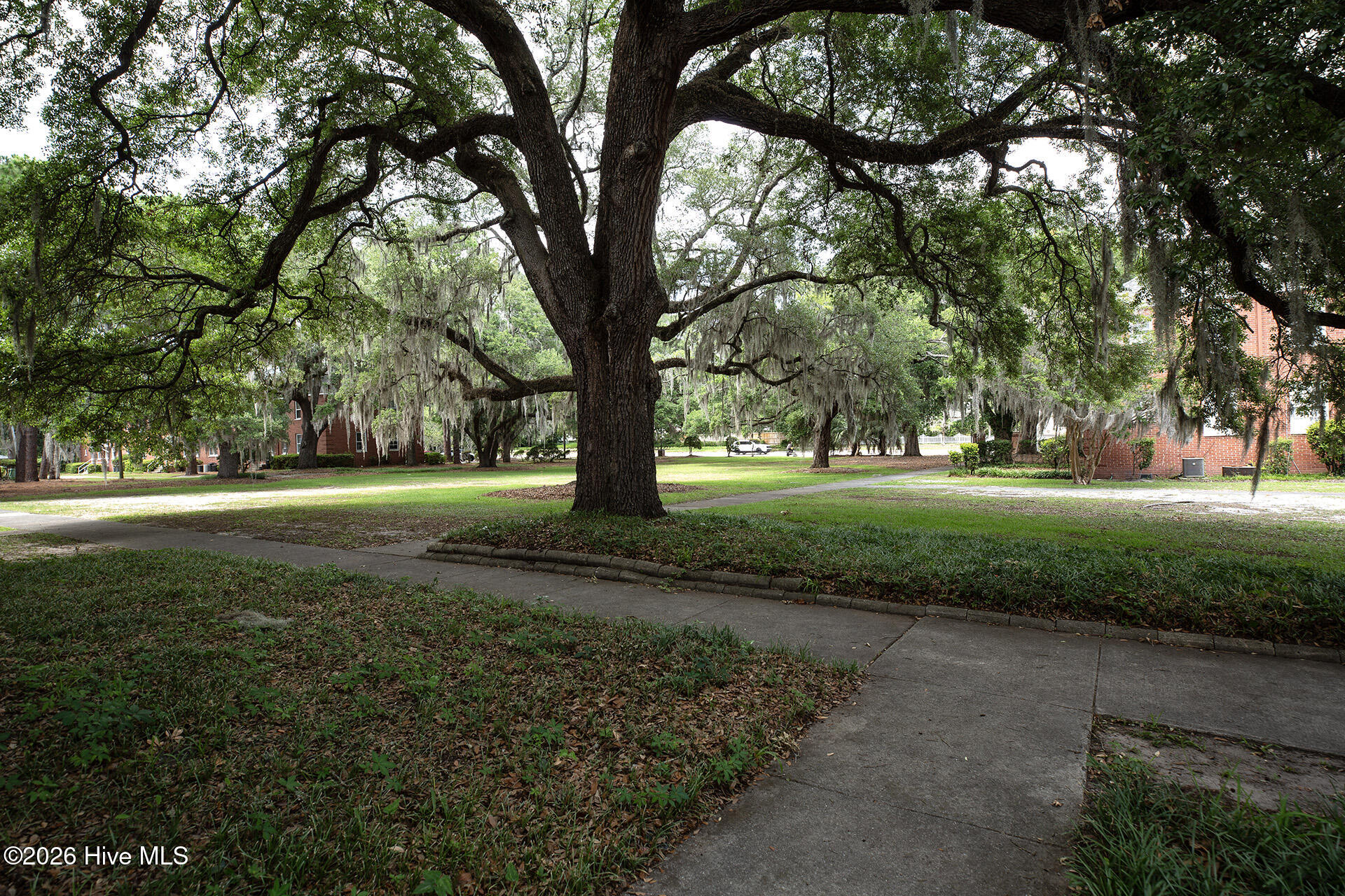 100584800 | Photo 5