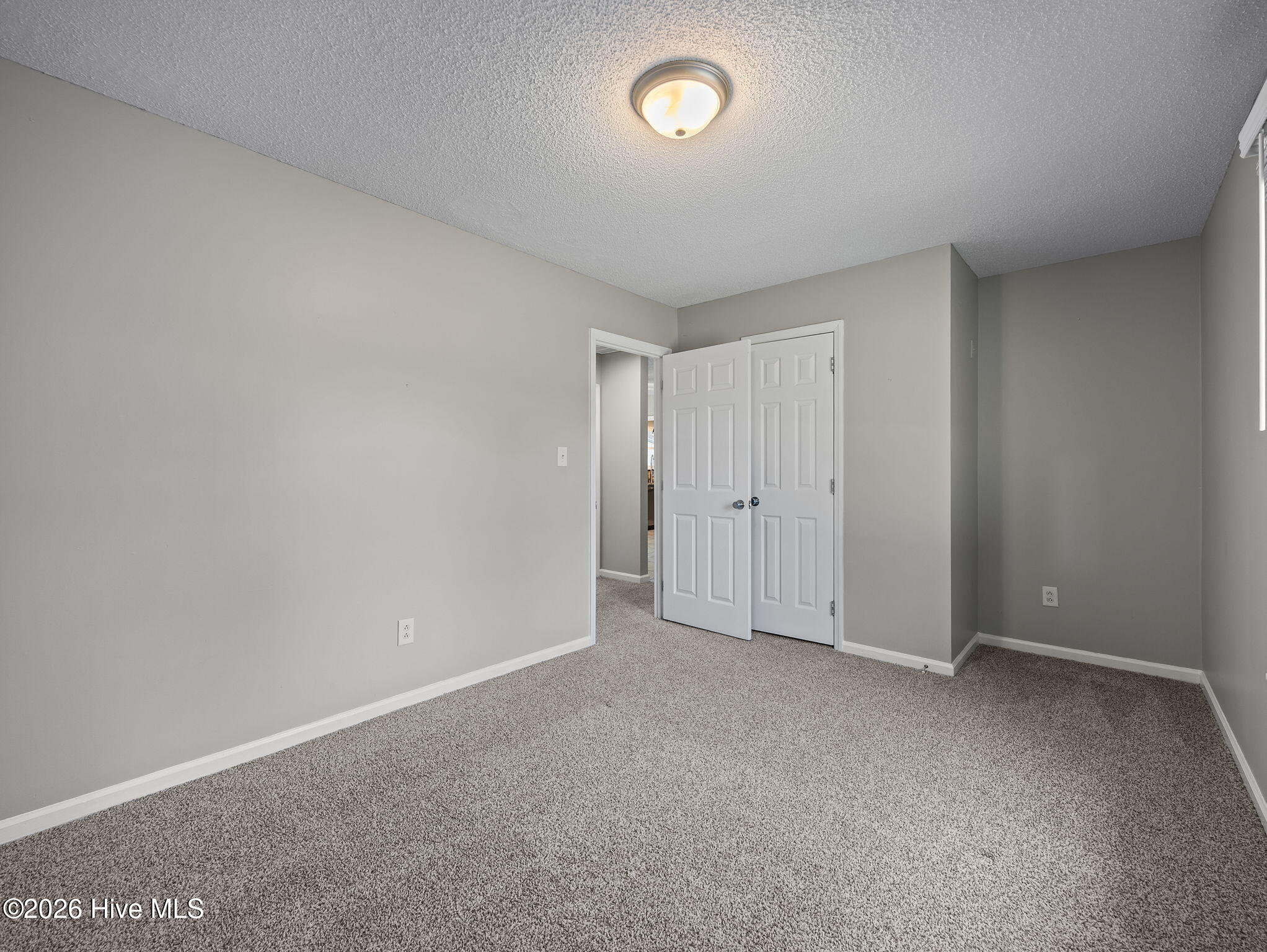 100569012 | Photo 21